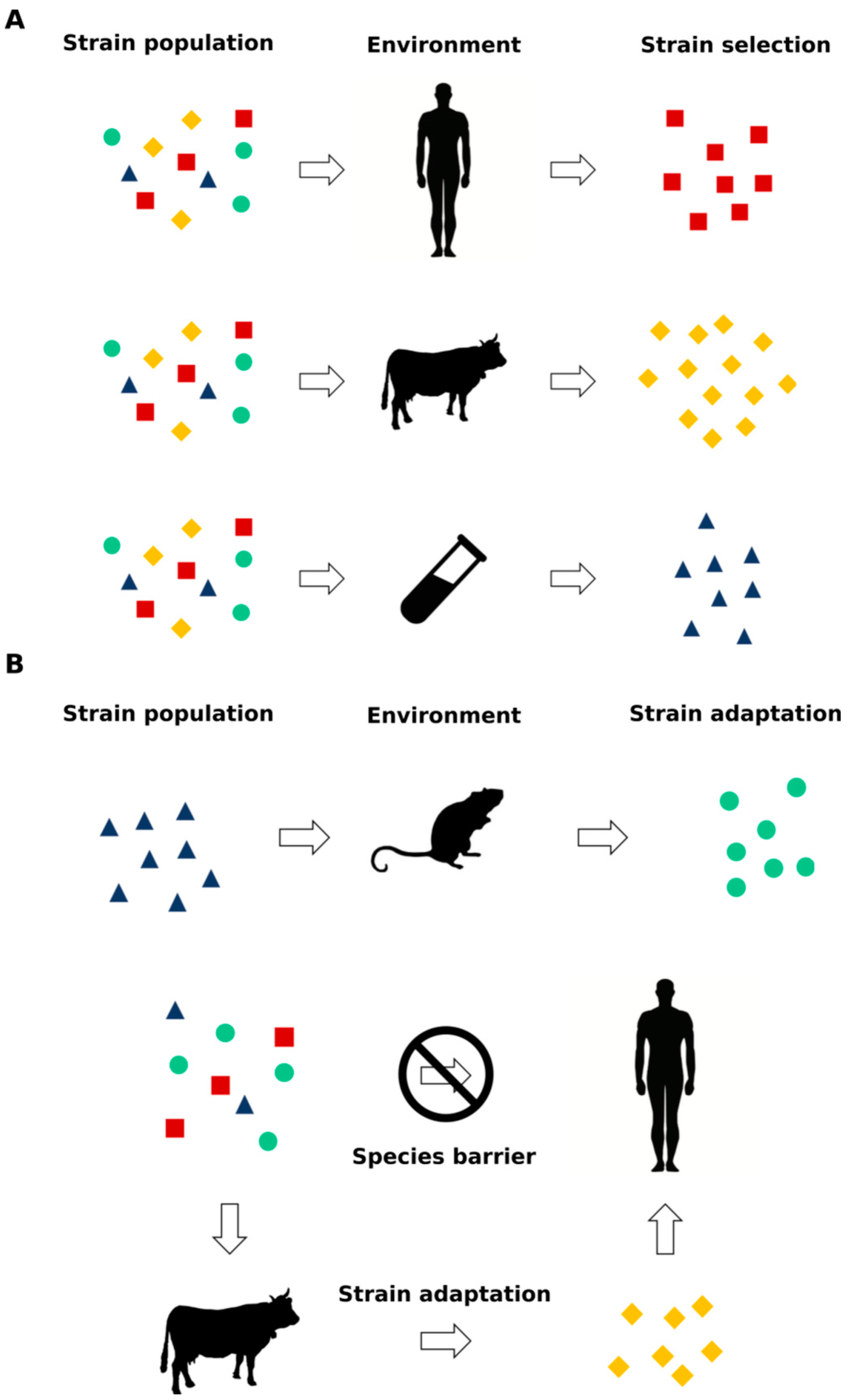 Viruses | Free Full-Text | Prion and Prion-Like Protein Strains 