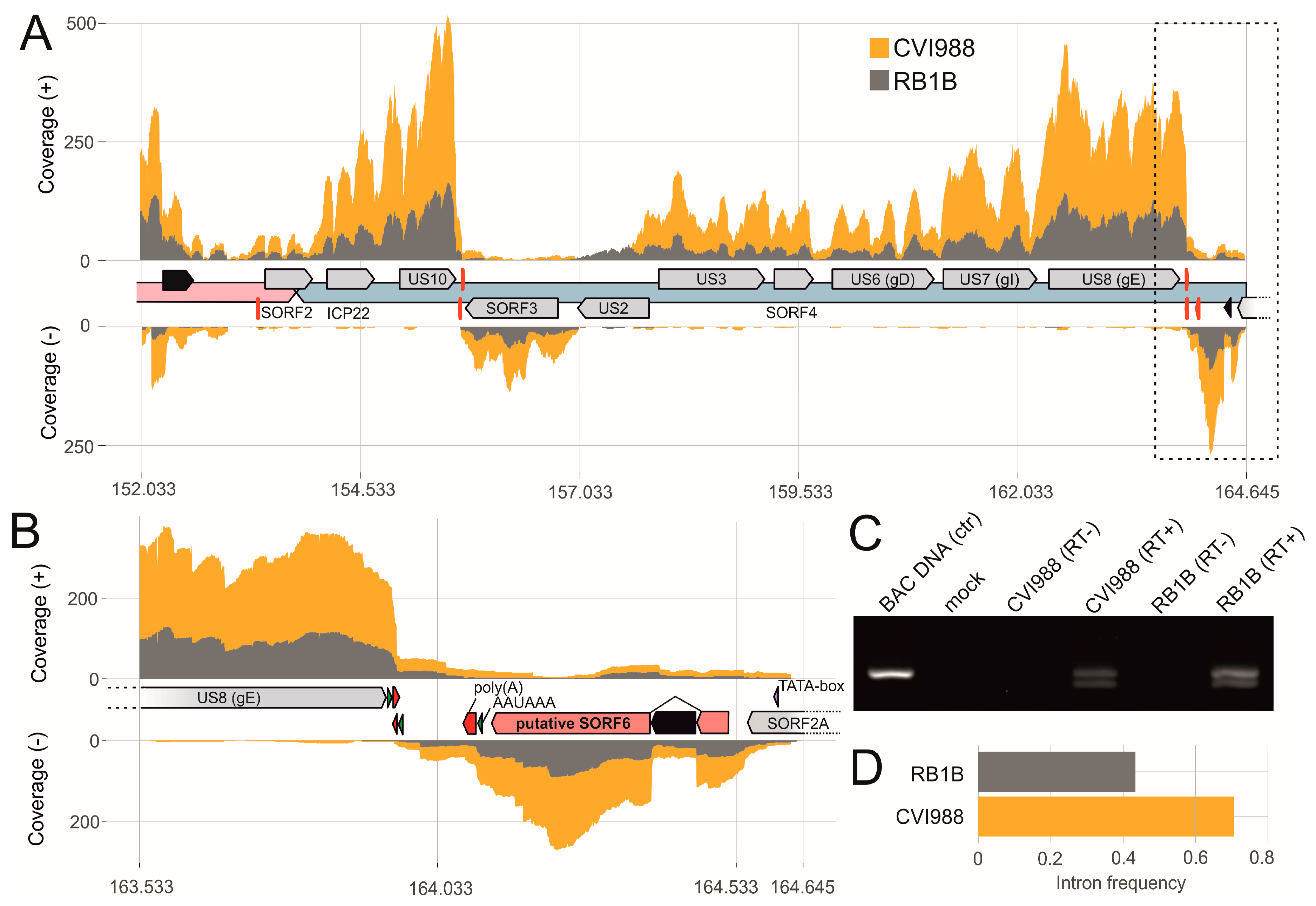 Viruses 11 00264 g005 Viruses 11 00264 g005