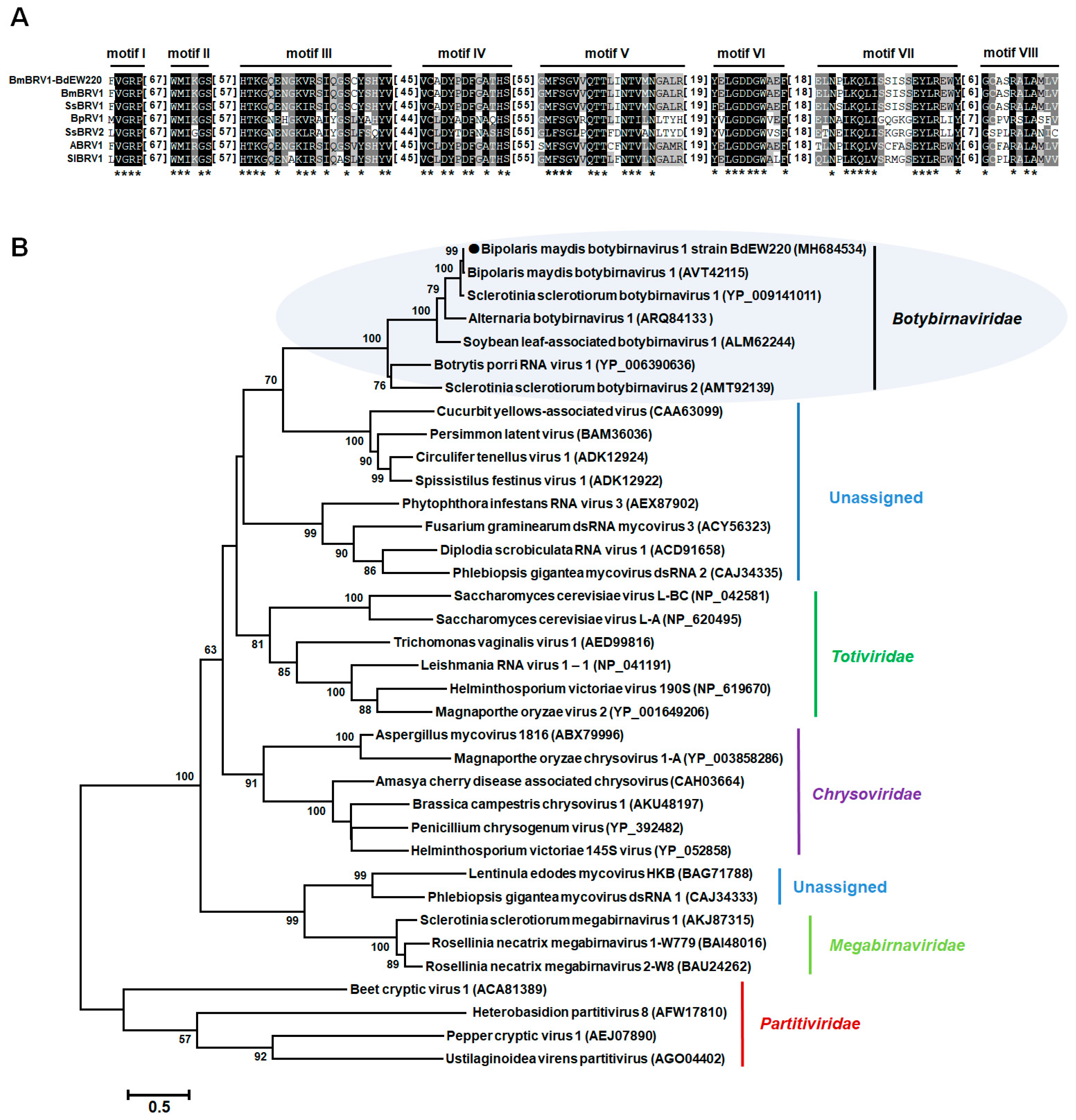 Viruses 11 00266 g004