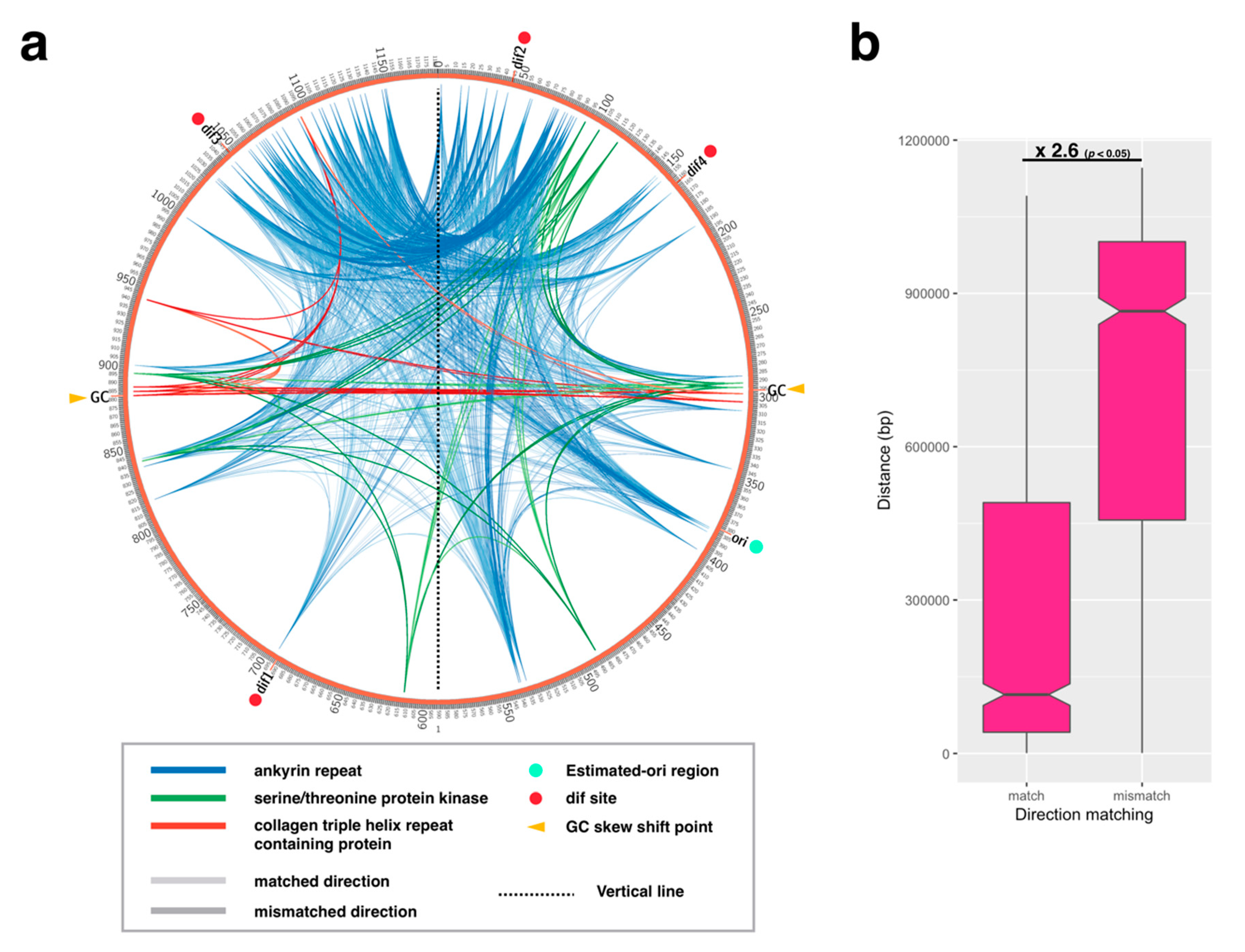 Viruses 11 00267 g003 Viruses 11 00267 g003
