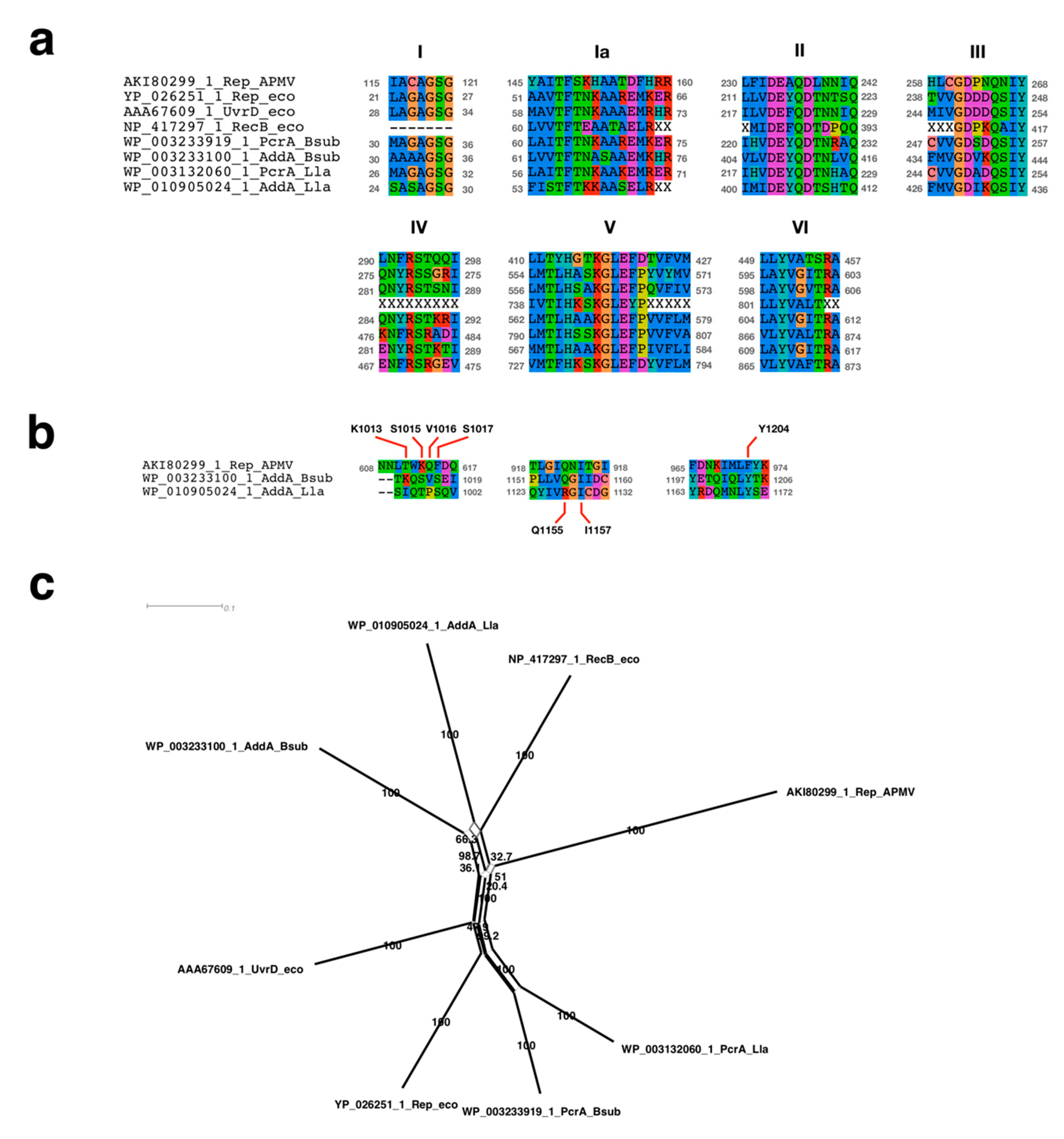 Viruses 11 00267 g004 Viruses 11 00267 g004