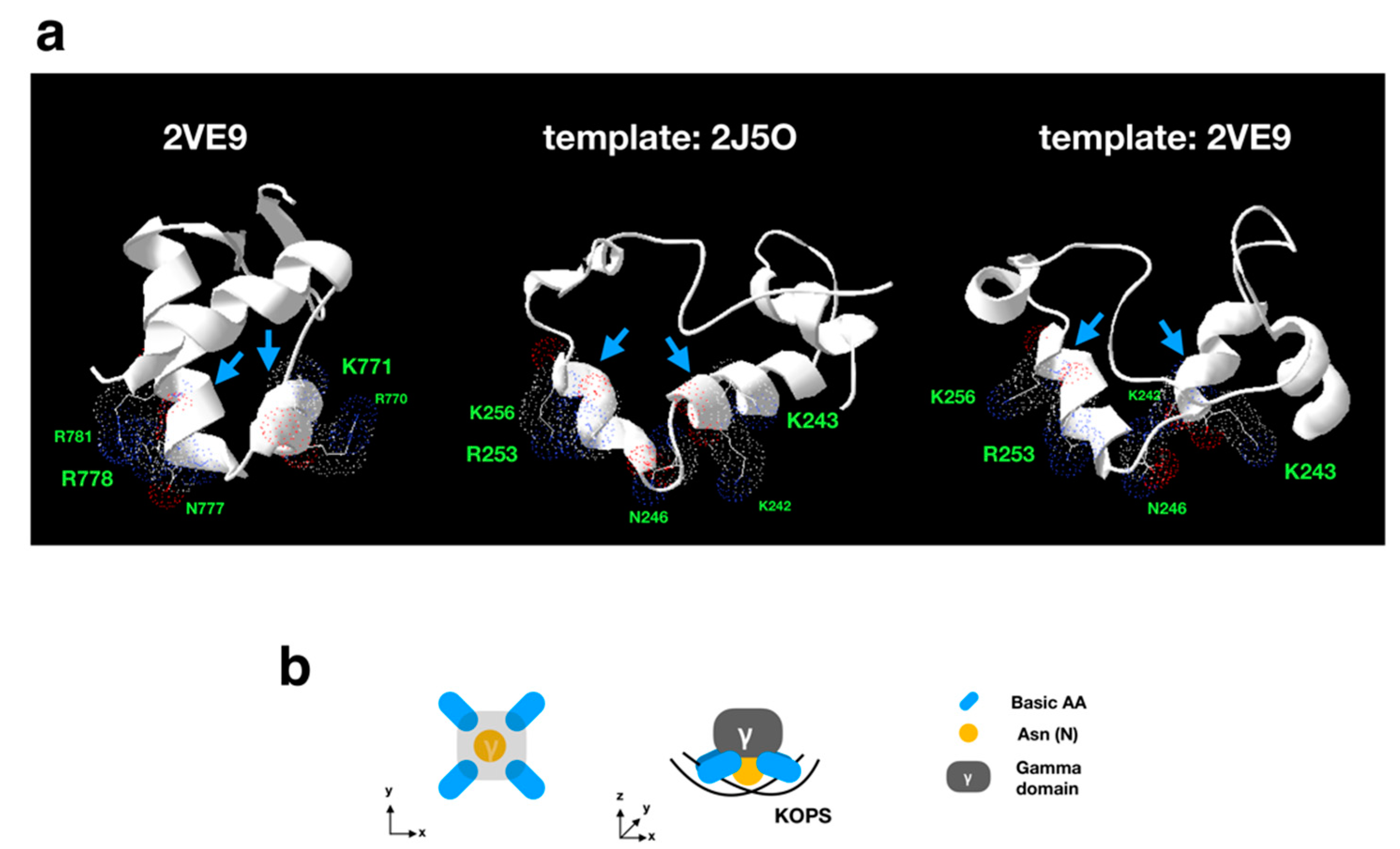 Viruses 11 00267 g008 Viruses 11 00267 g008