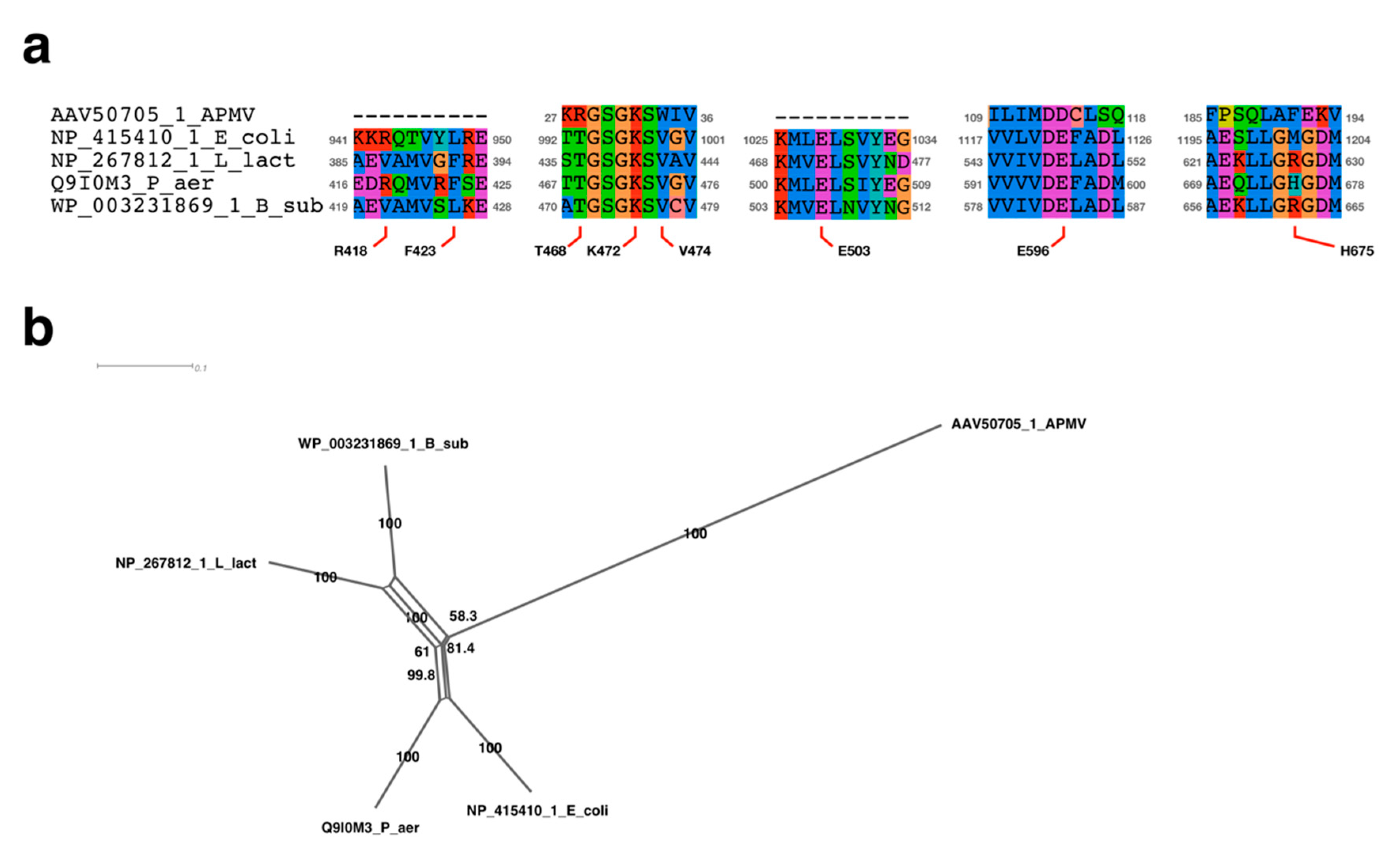 Viruses 11 00267 g009 Viruses 11 00267 g009