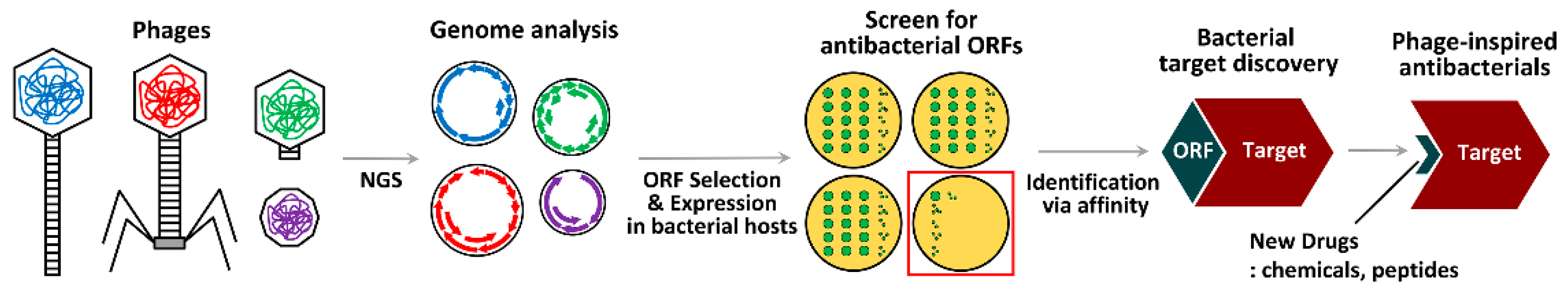 Viruses 11 00268 g004 Viruses 11 00268 g004