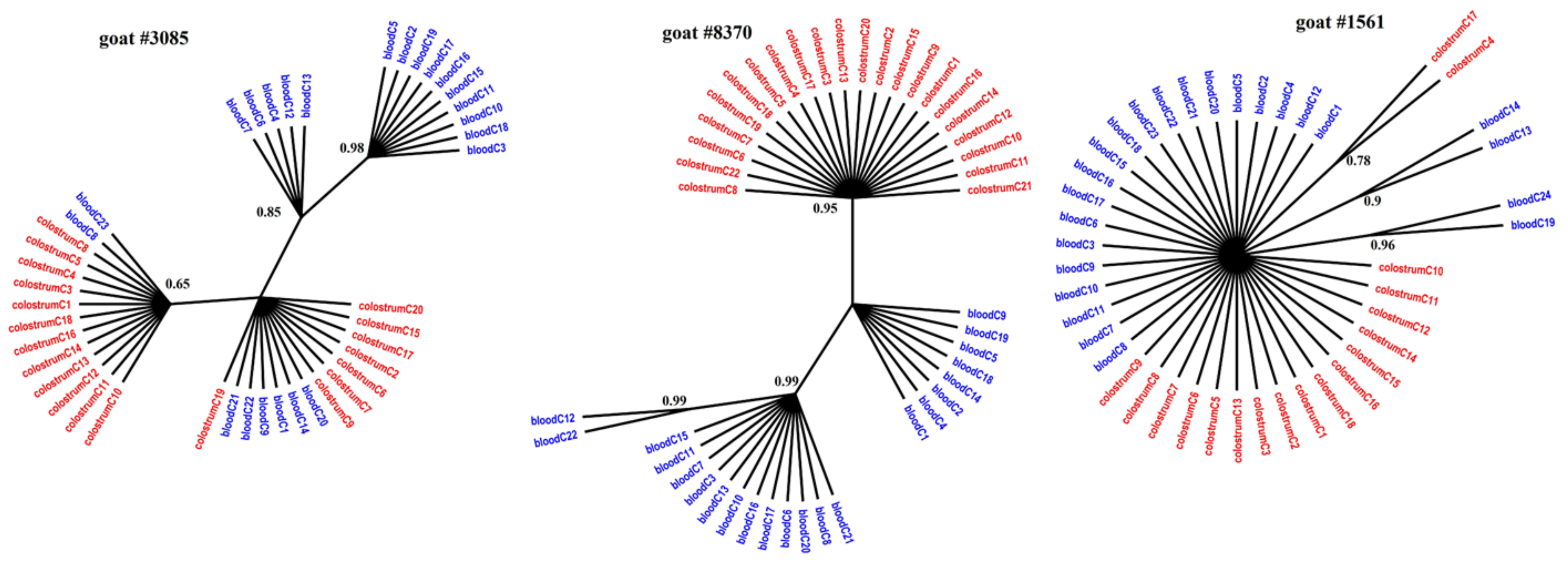 Viruses 11 00270 g002