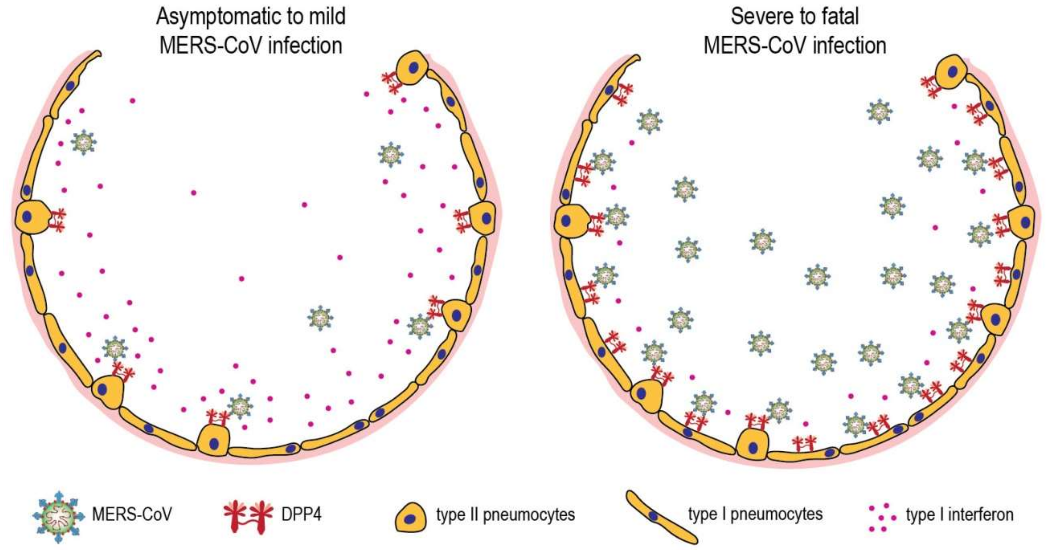 Viruses 11 00280 g004