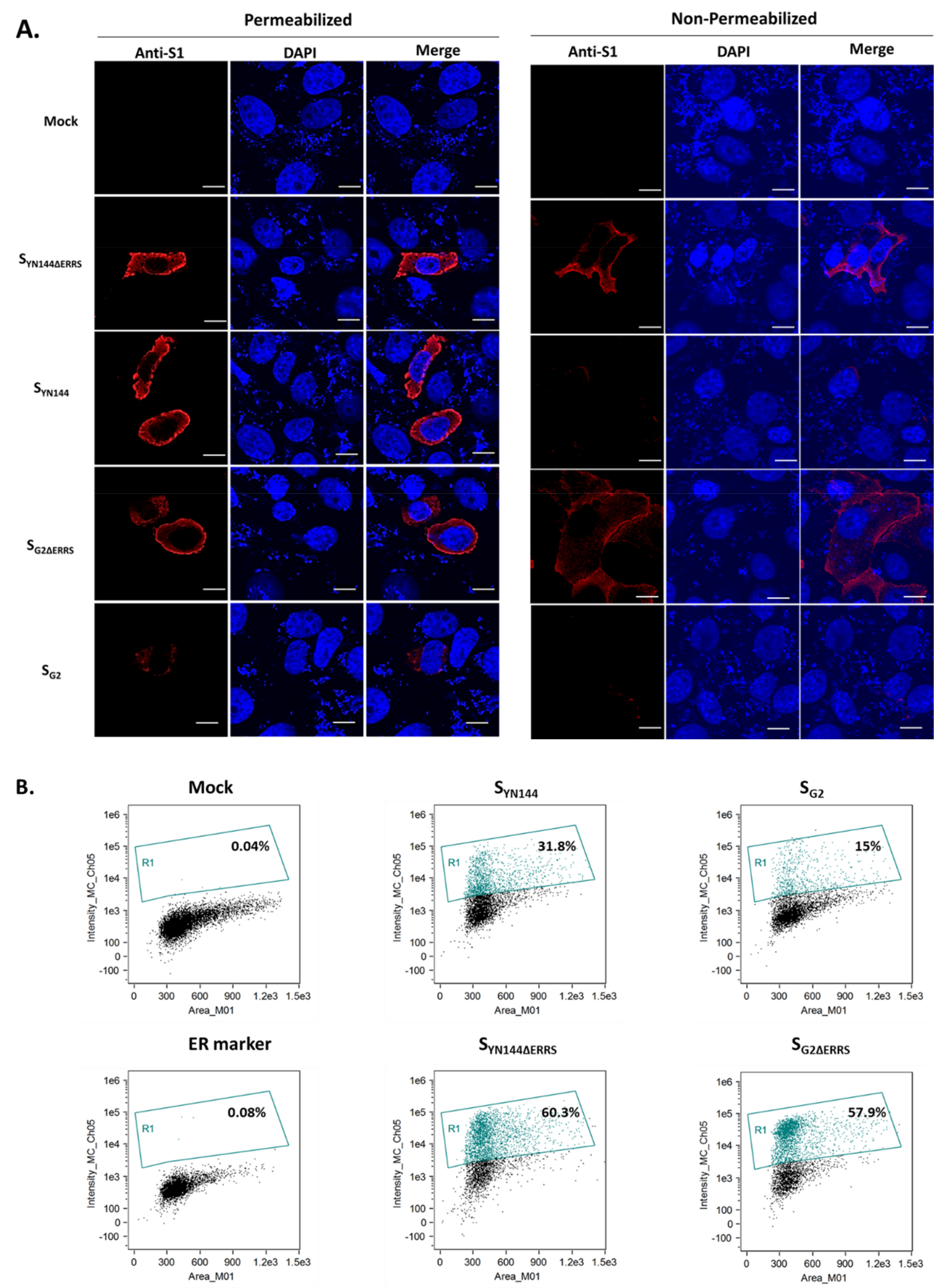 Viruses 11 00282 g002