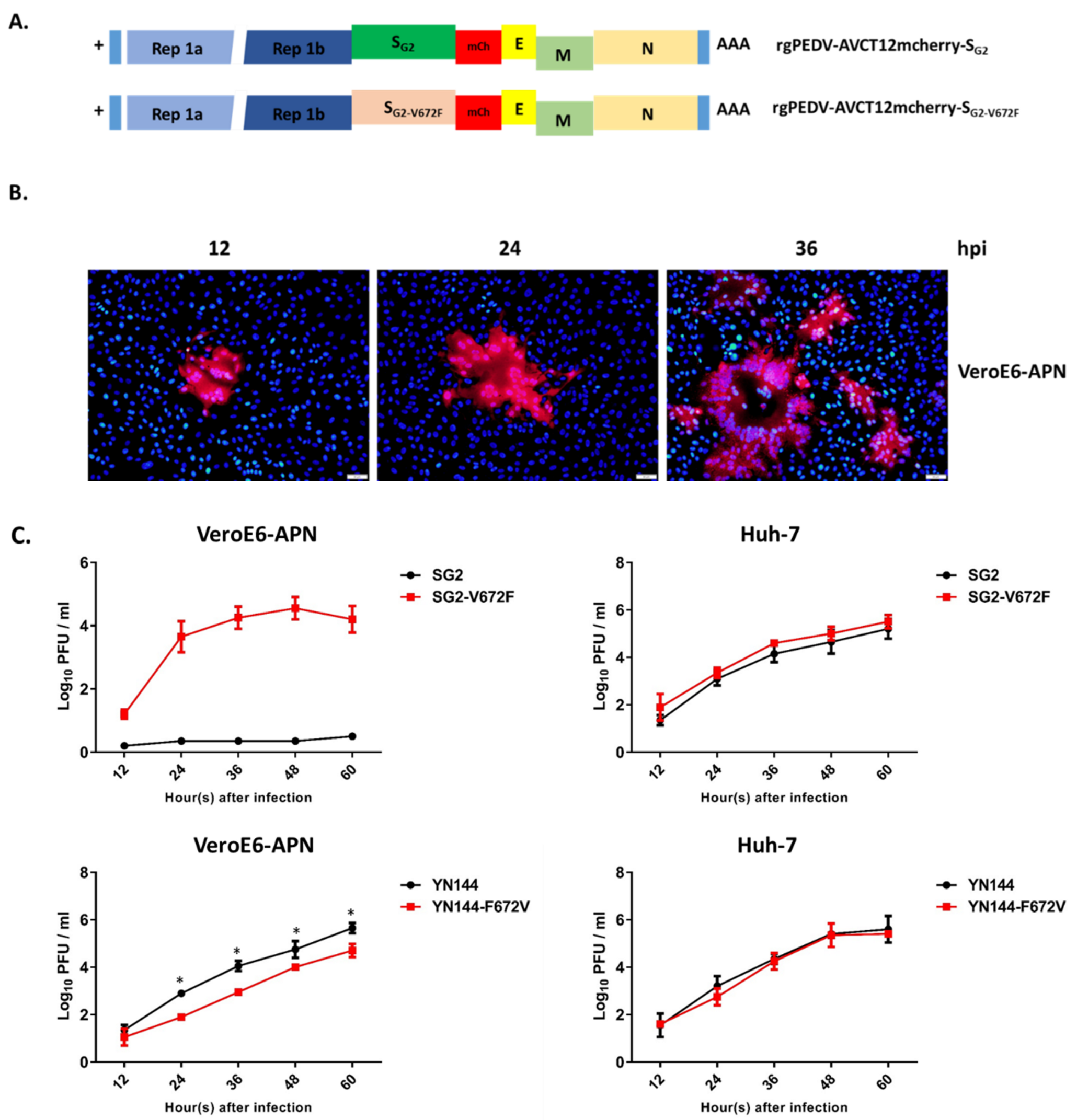 Viruses 11 00282 g008