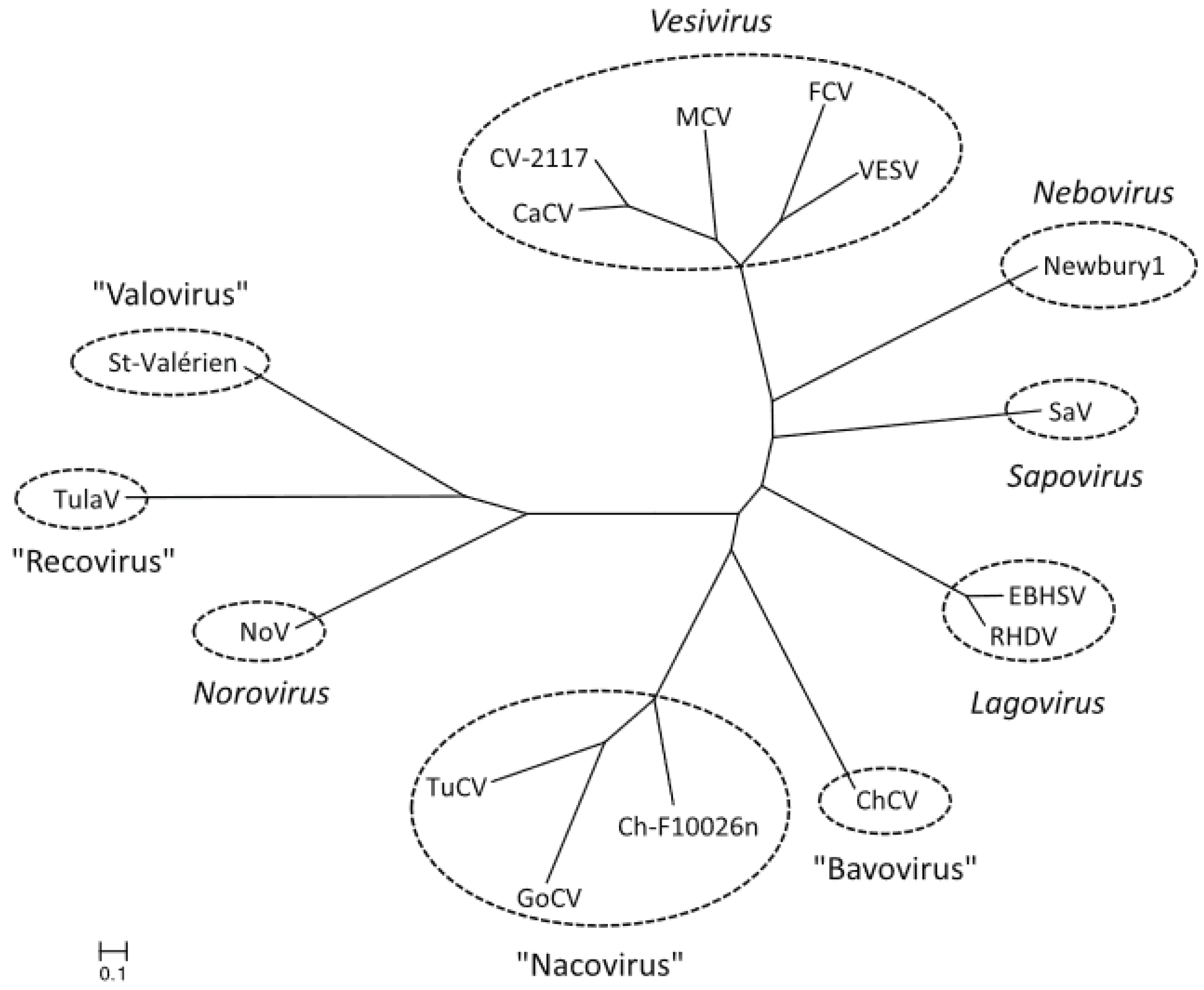 Viruses 11 00286 g004 Viruses 11 00286 g004