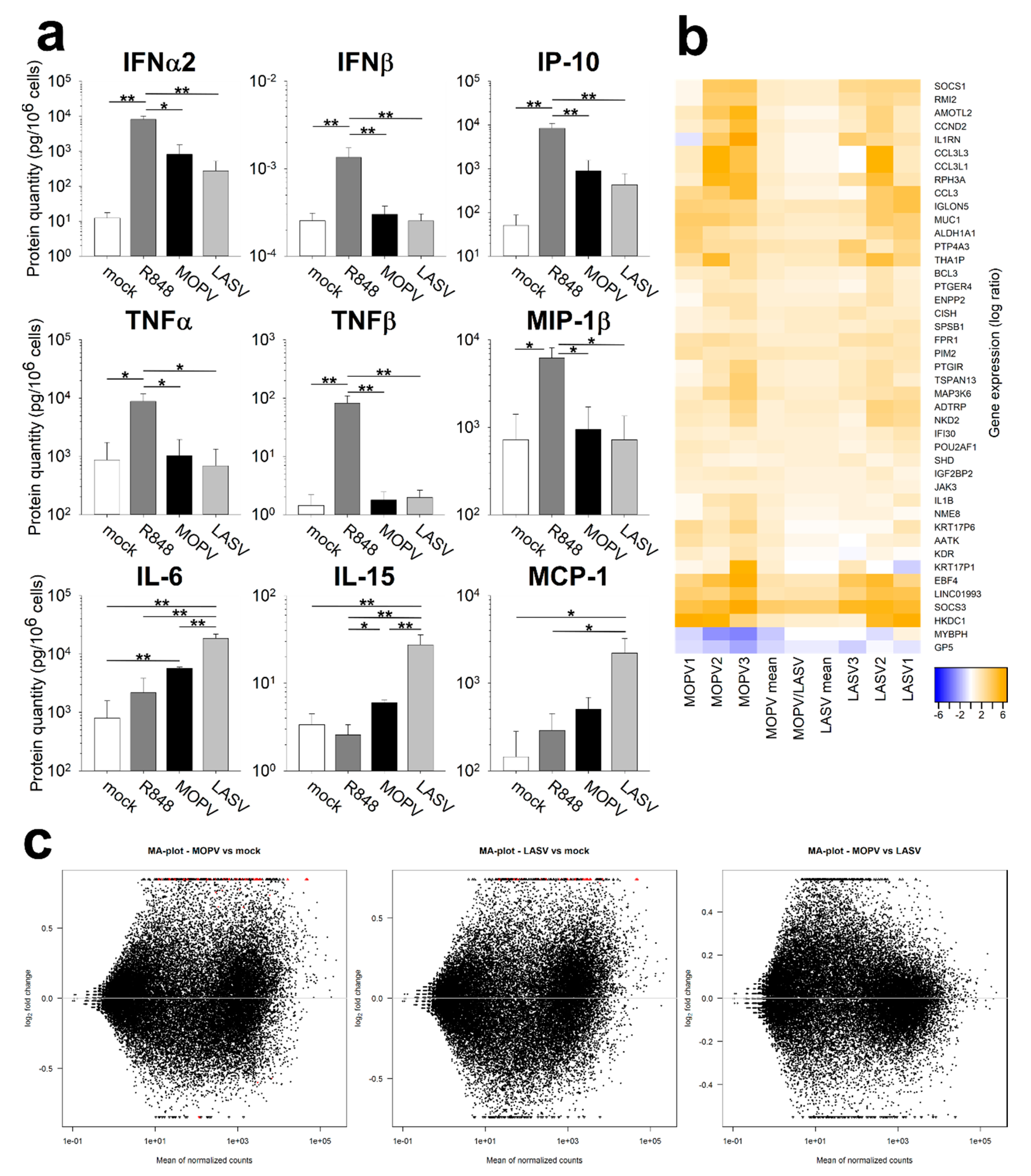 Viruses 11 00287 g003