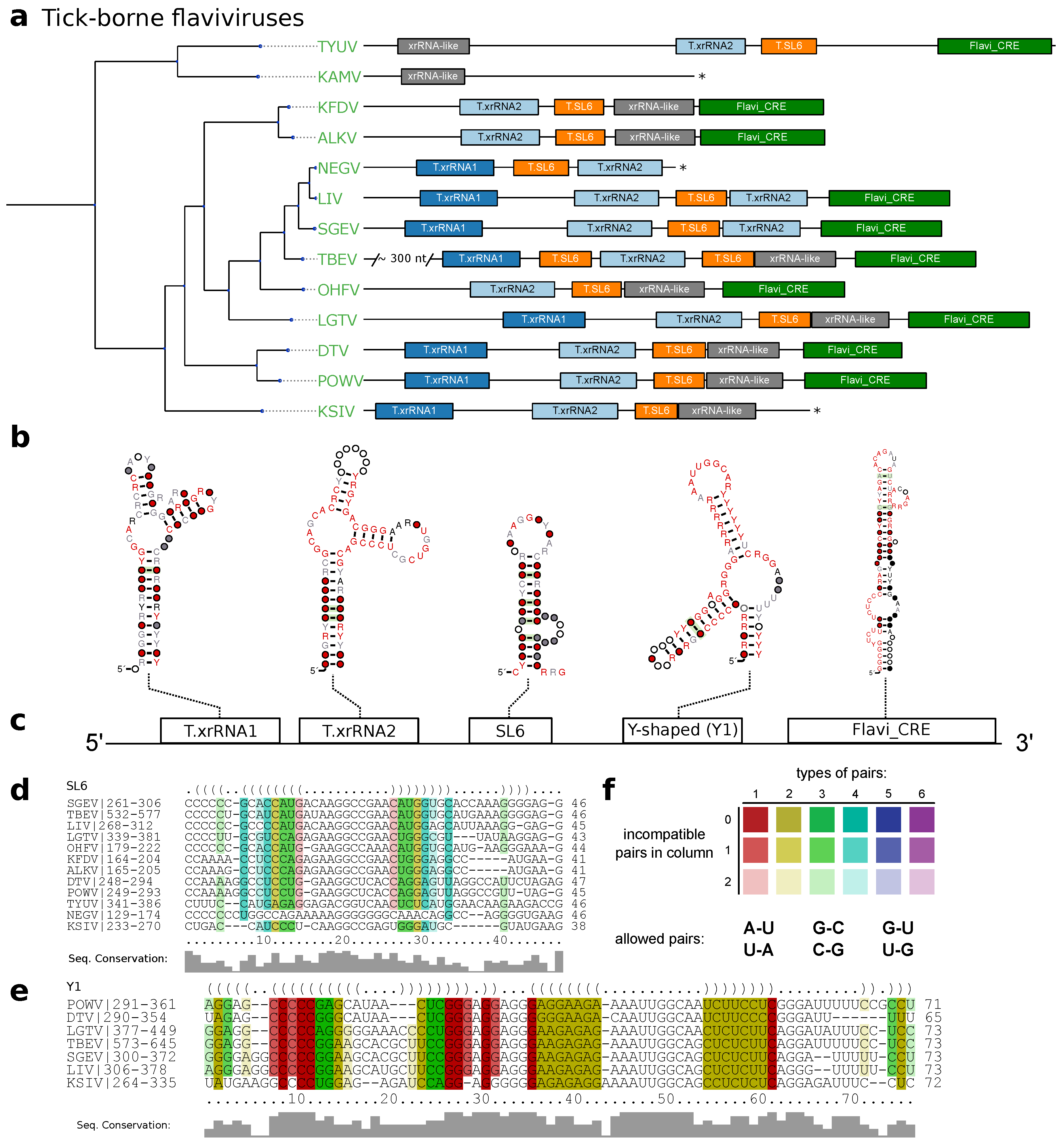 Viruses 11 00298 g003 Viruses 11 00298 g003