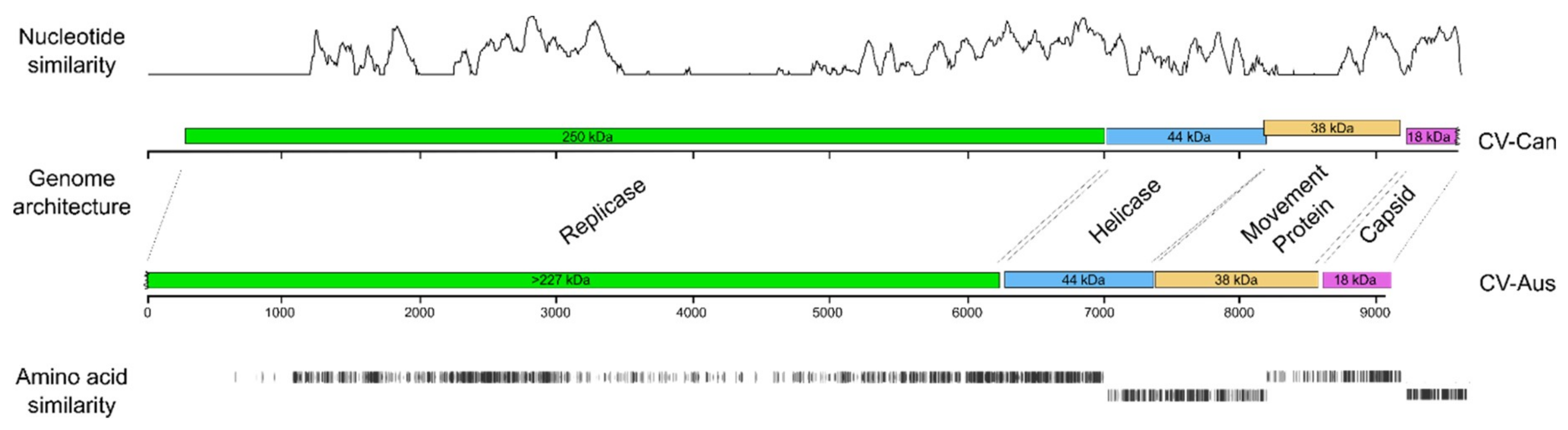 Viruses 11 00299 g001