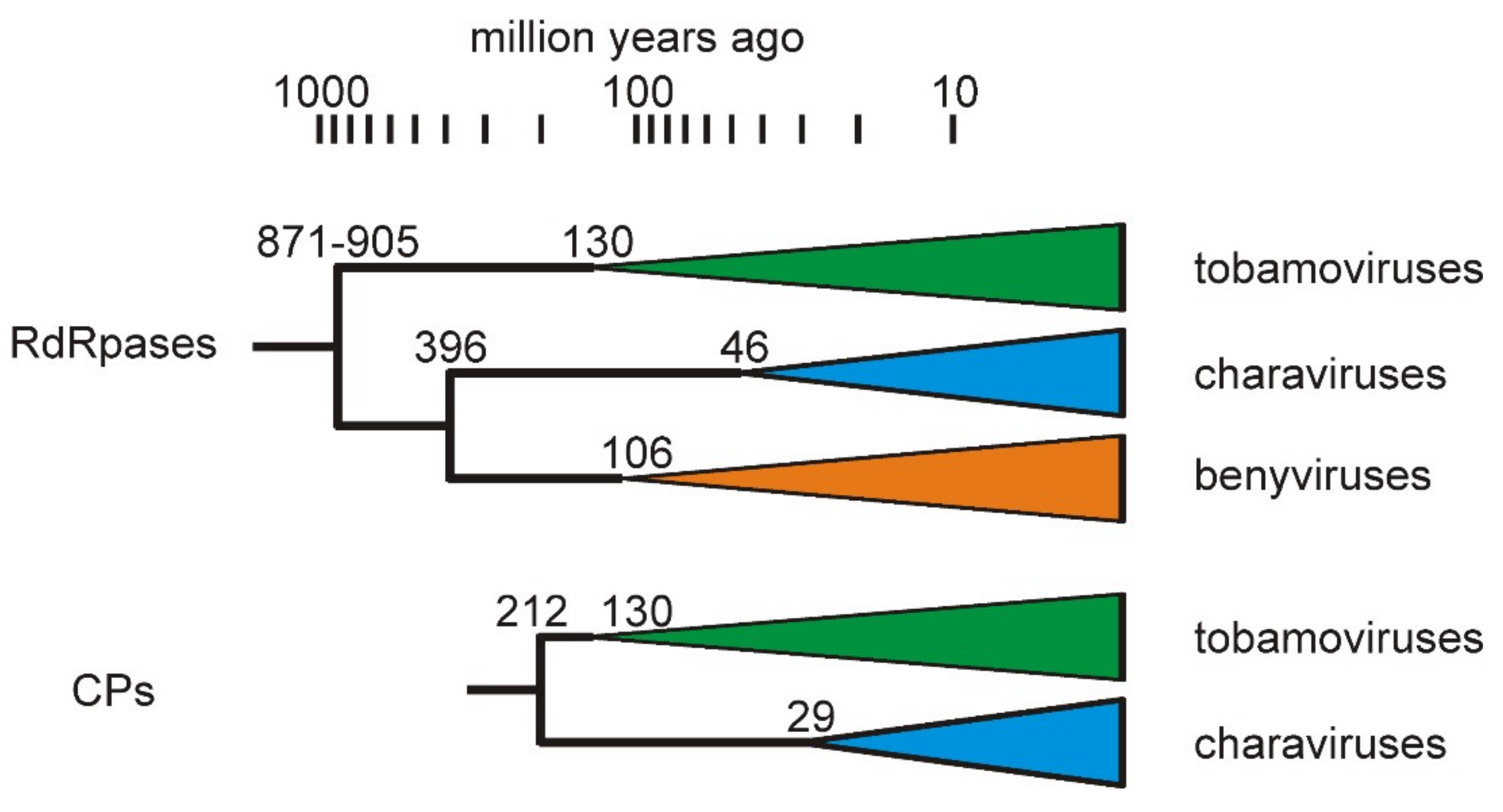 Viruses 11 00299 g007