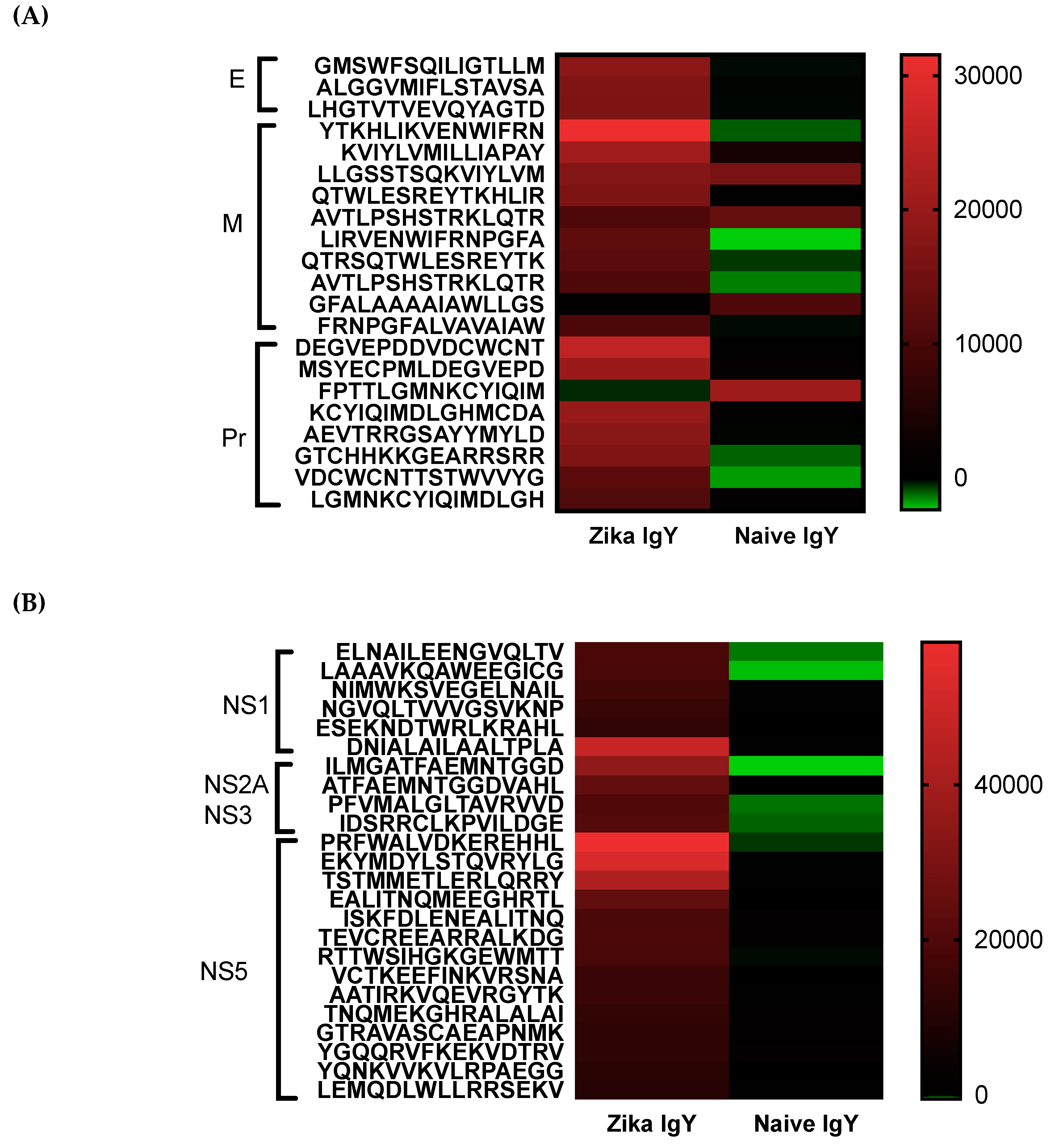 Viruses 11 00301 g005