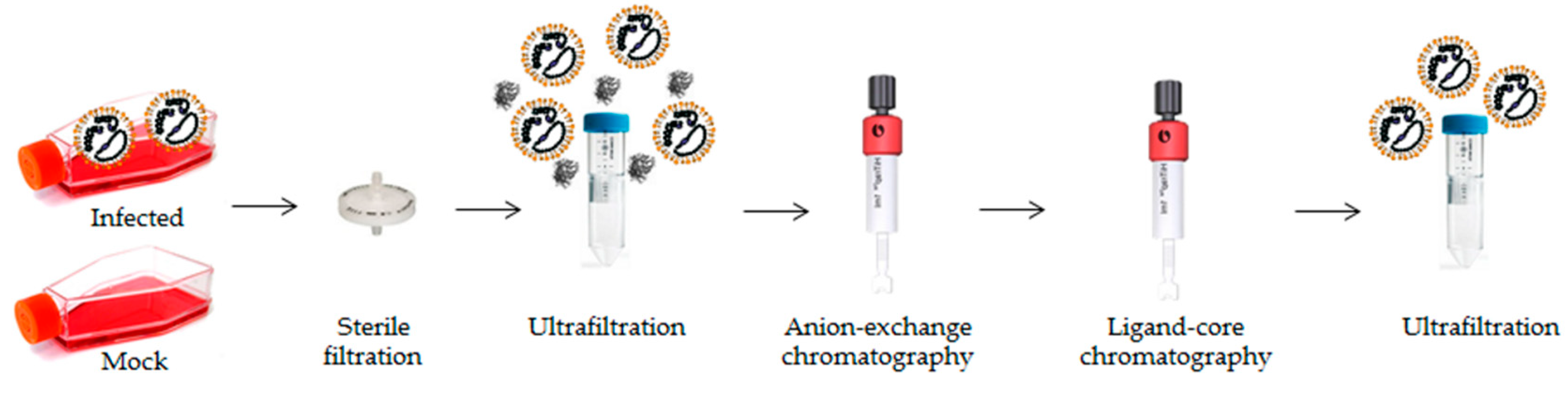 Viruses 11 00303 g001