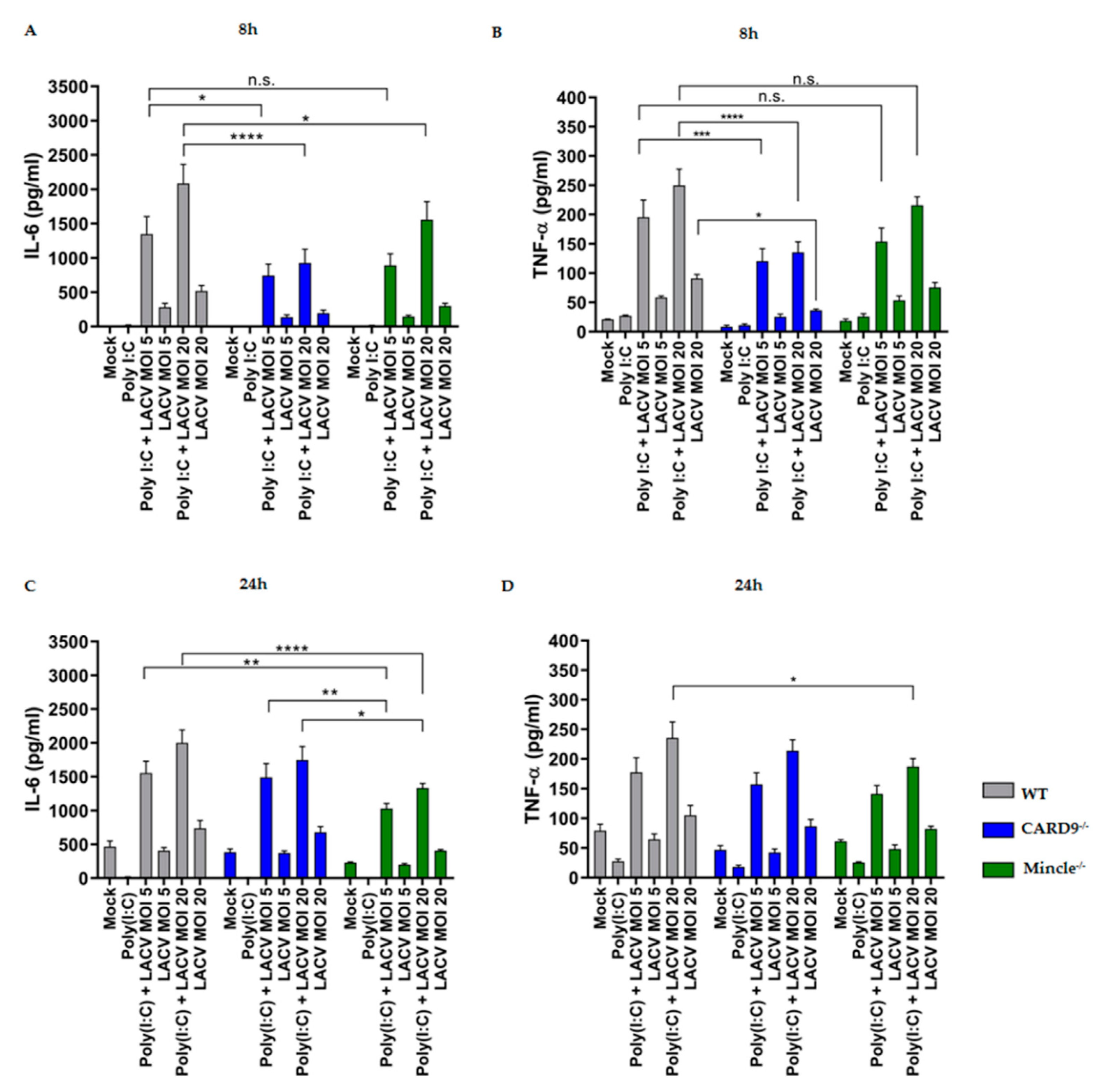 Viruses 11 00303 g005