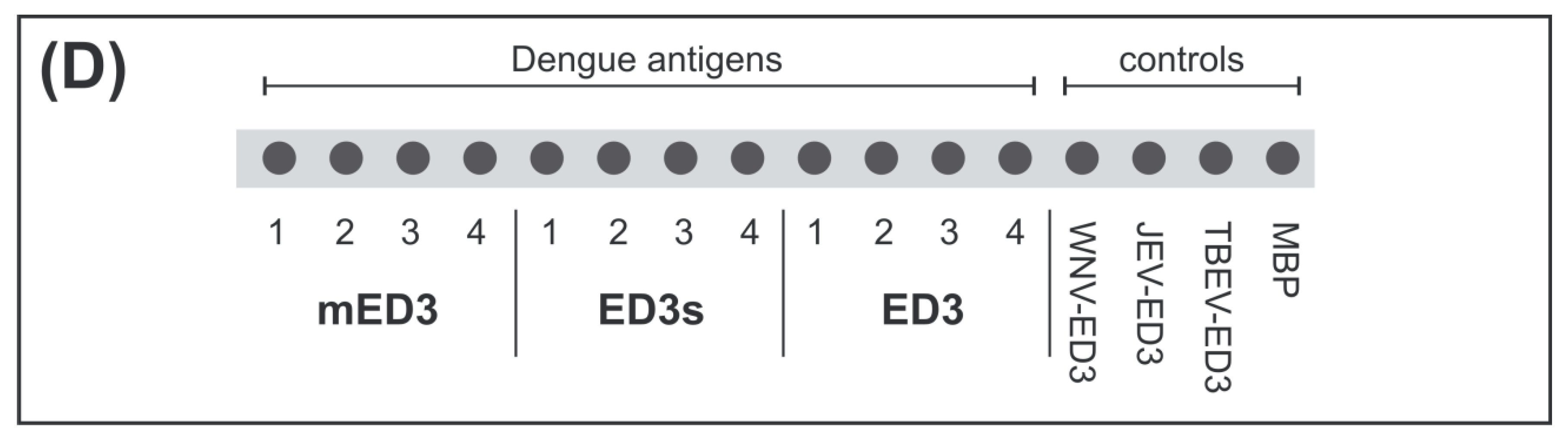 Viruses 11 00304 g001b