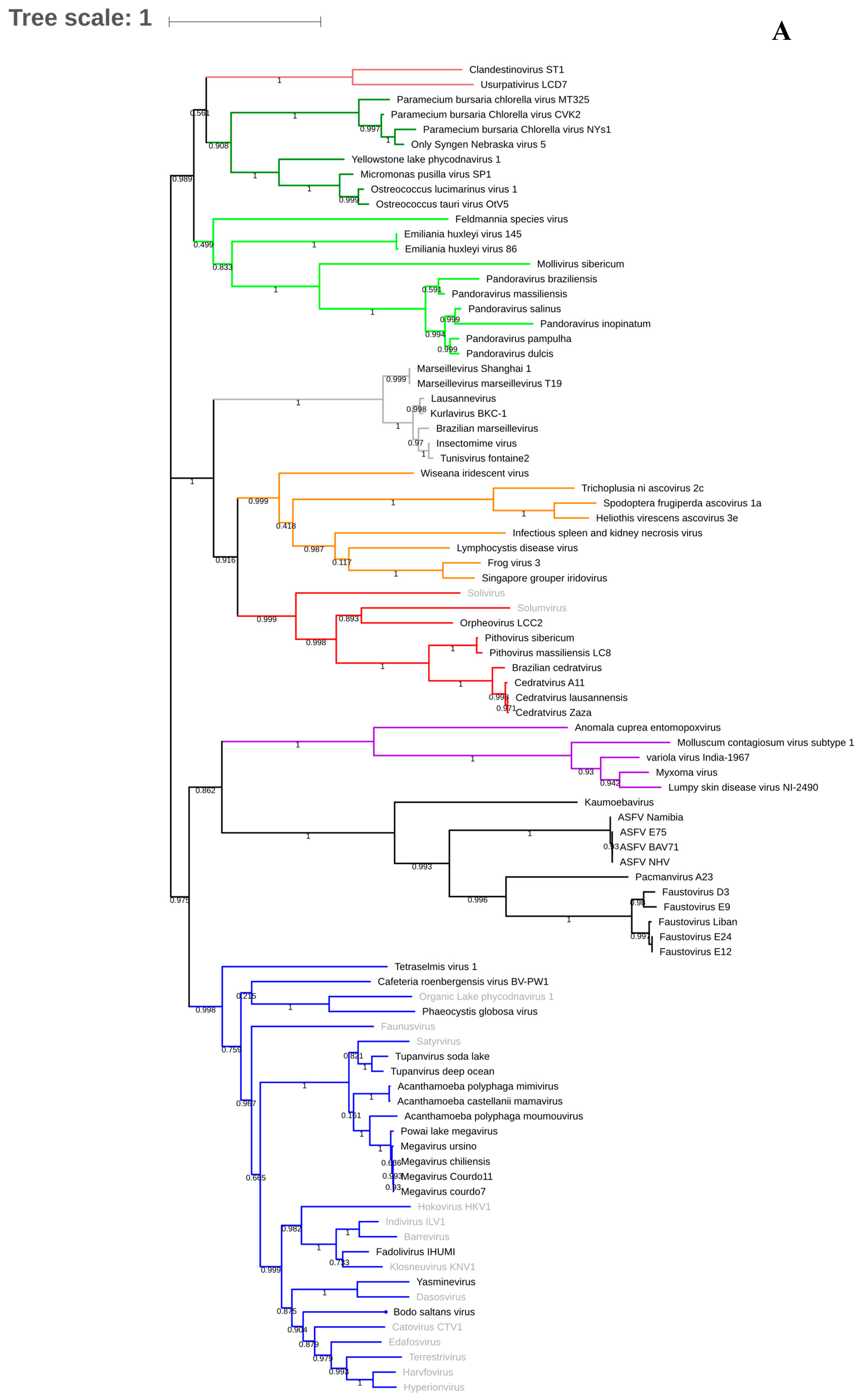 Viruses 11 00312 g002a