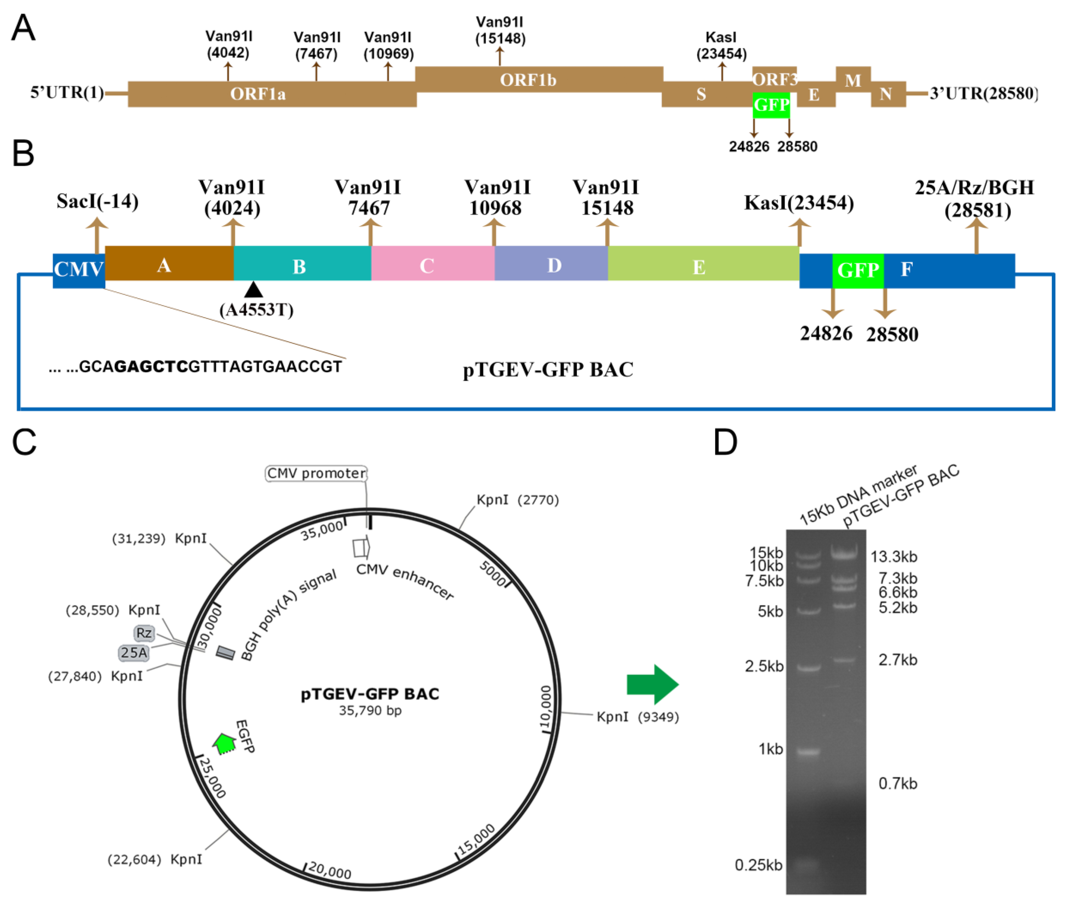 Viruses 11 00313 g001 Viruses 11 00313 g001