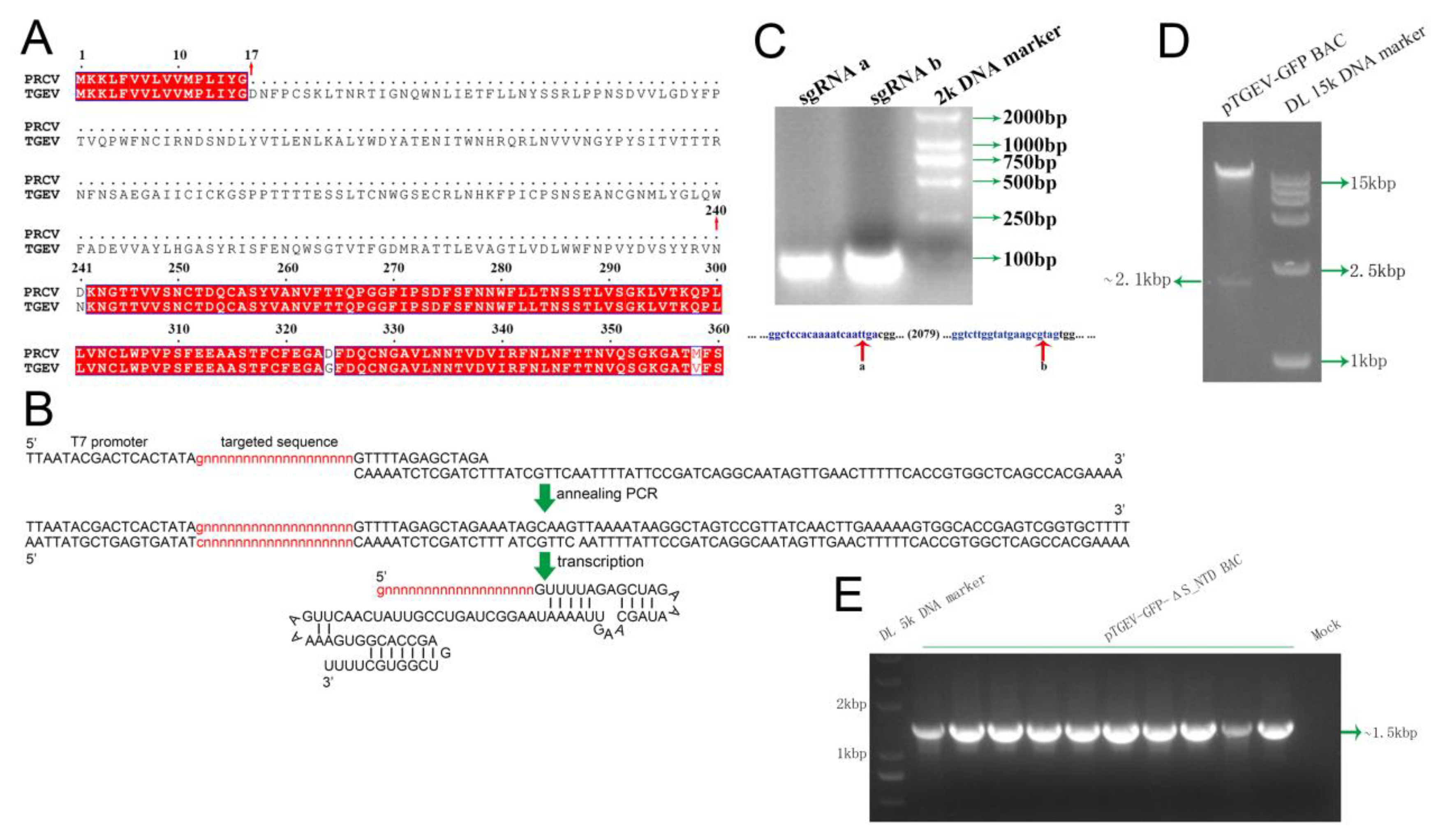Viruses 11 00313 g003 Viruses 11 00313 g003
