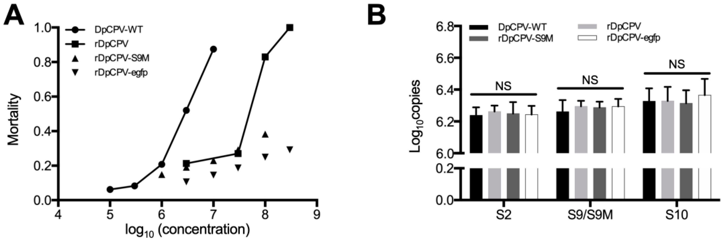 Viruses 11 00314 g006