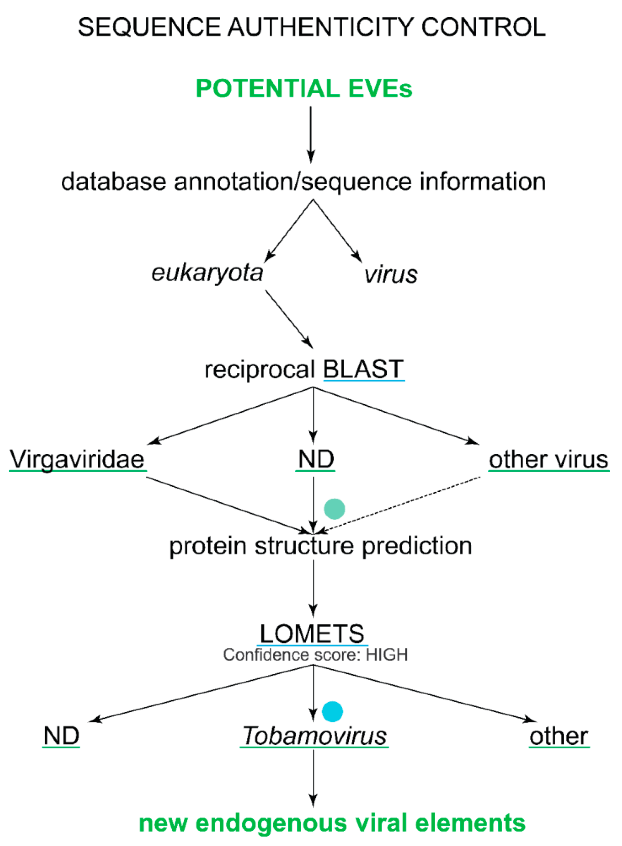 Viruses 11 00320 g002