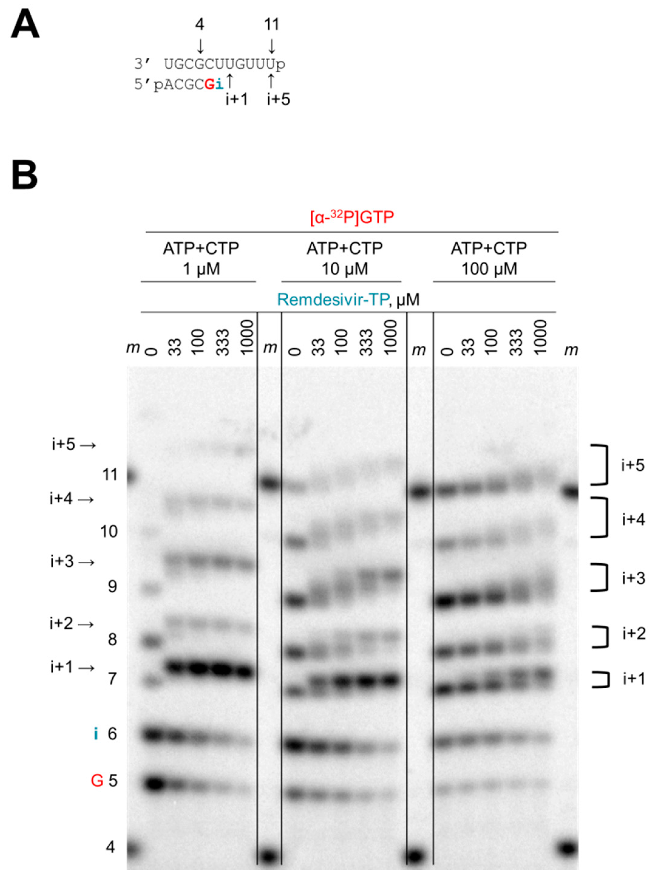 Viruses 11 00326 g002 Viruses 11 00326 g002