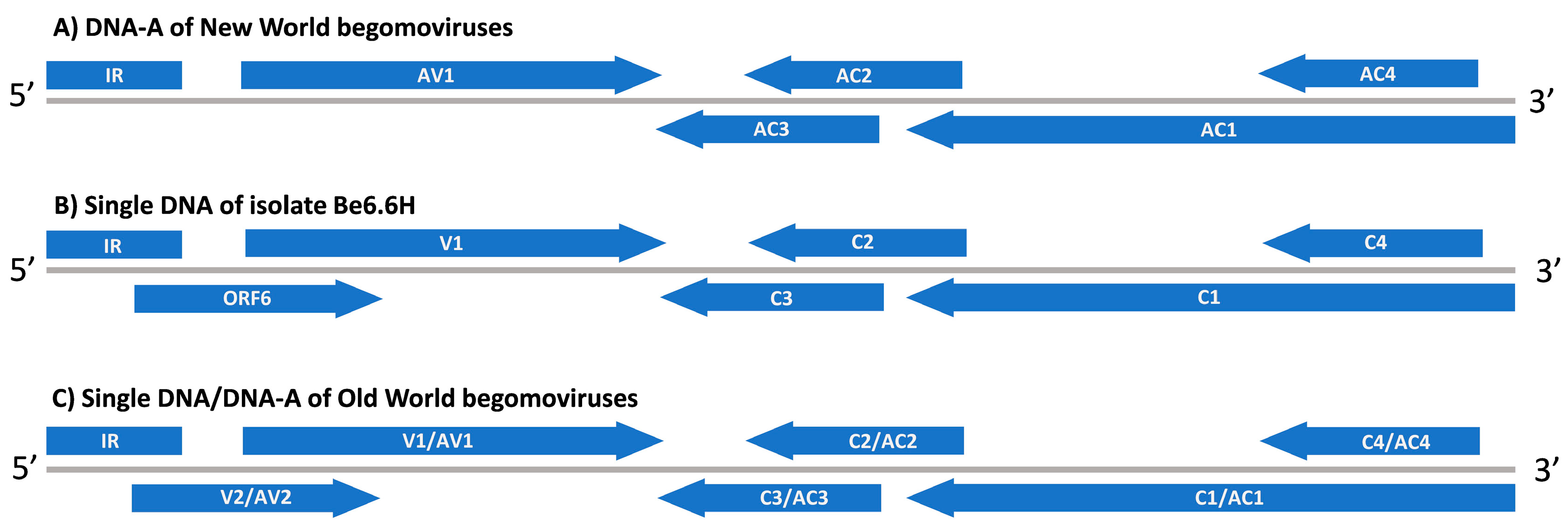 Viruses 11 00327 g001