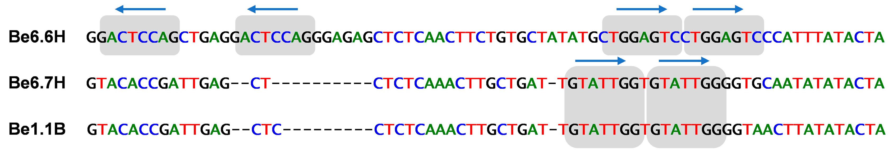 Viruses 11 00327 g002
