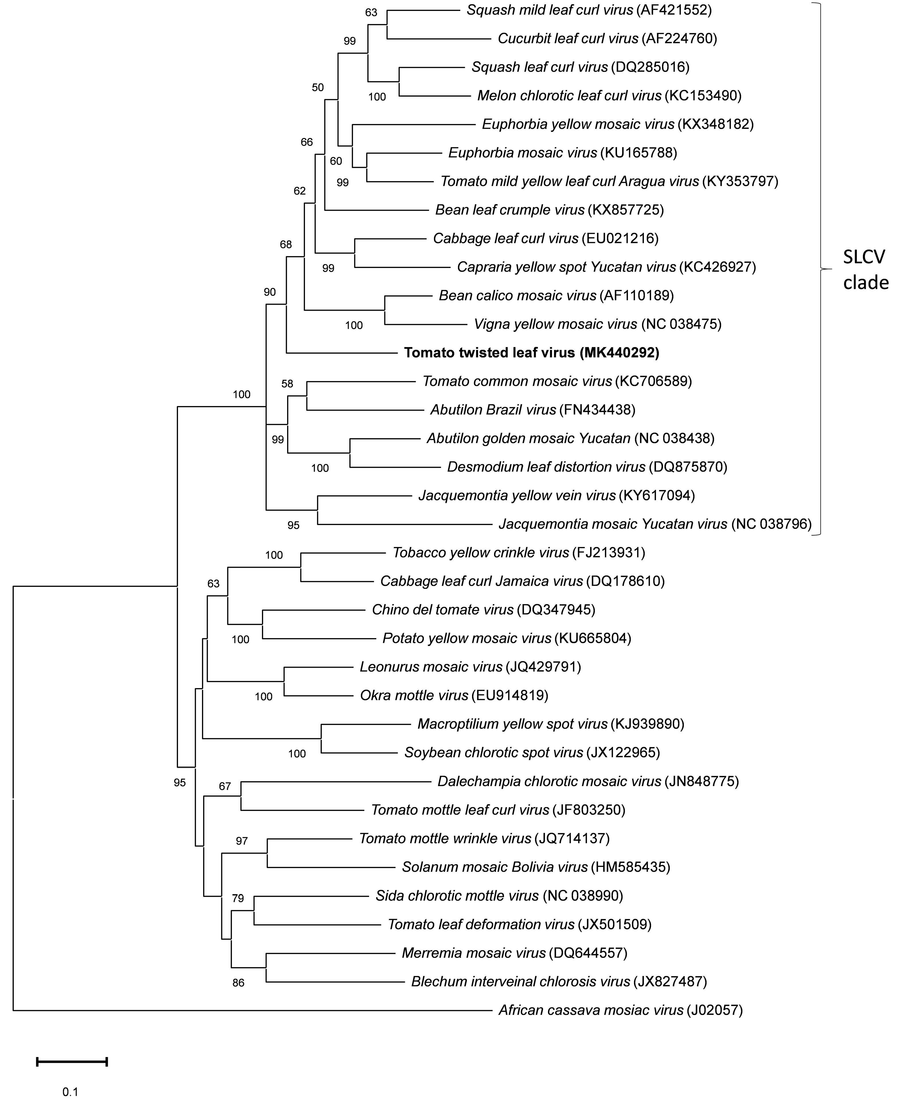 Viruses 11 00327 g003