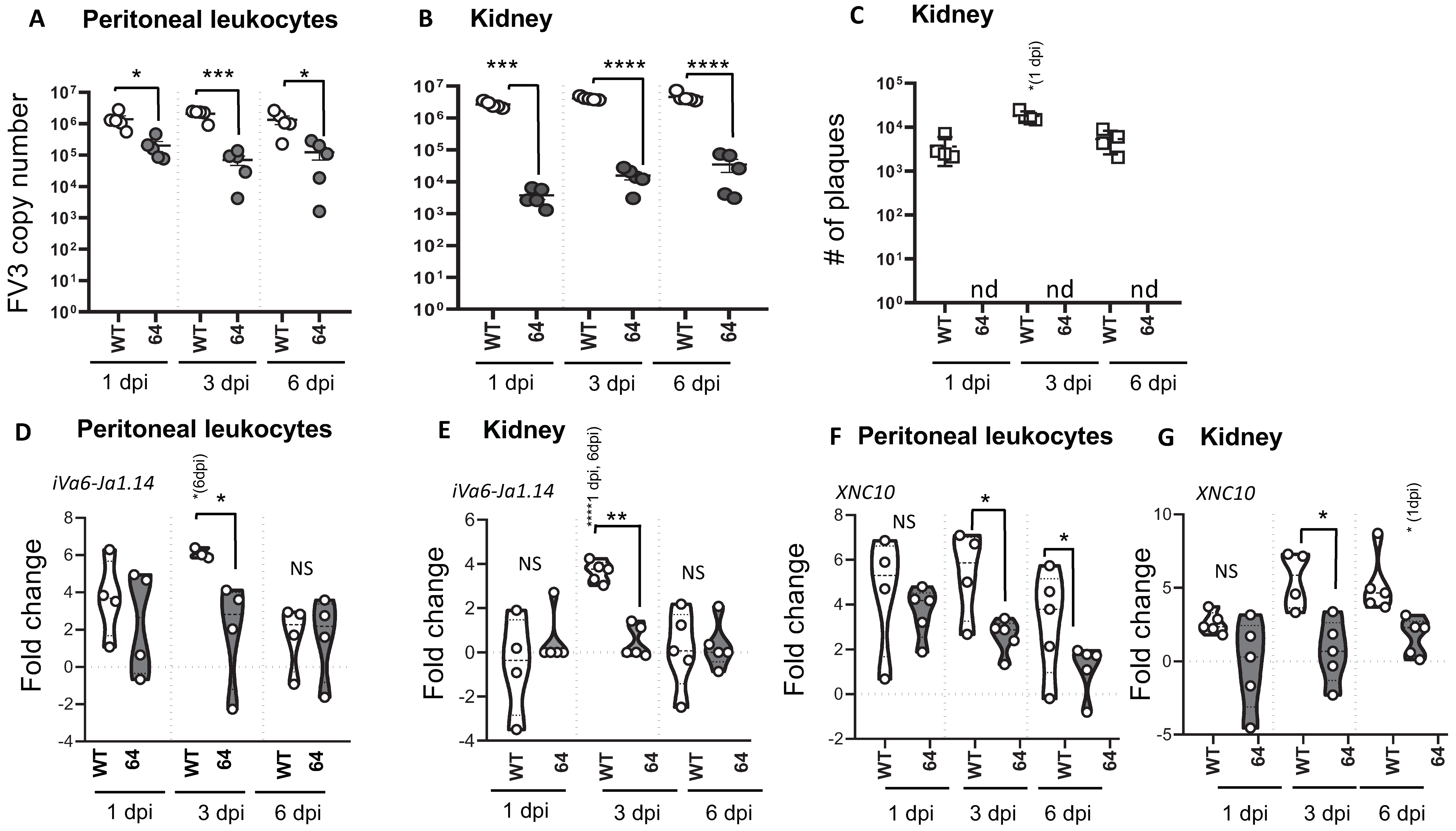 Viruses 11 00330 g002