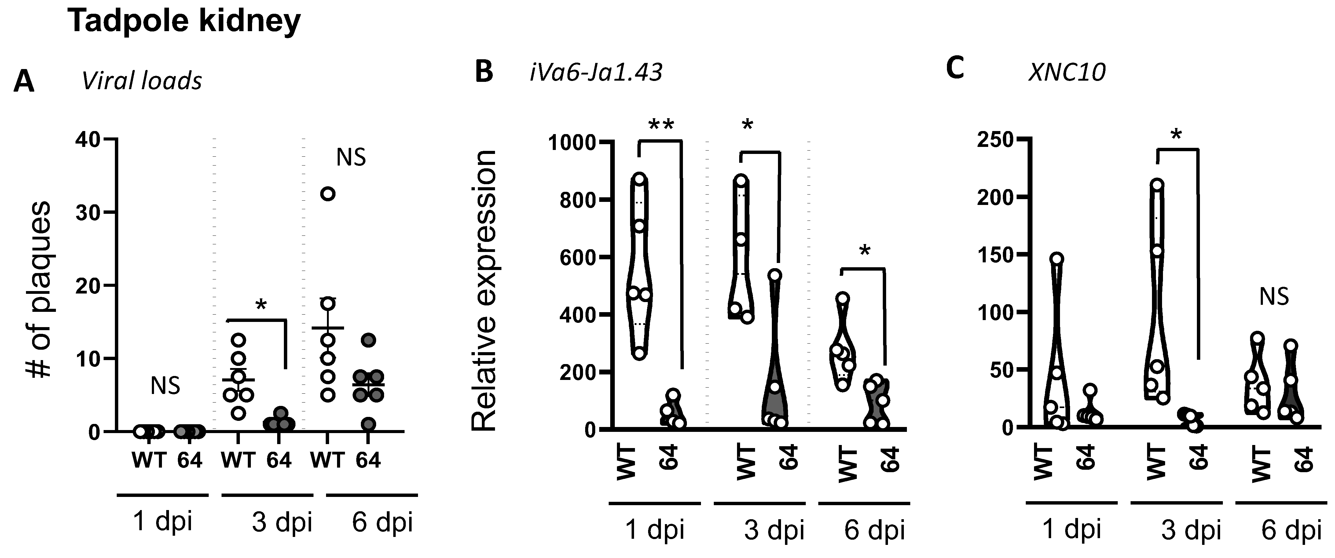 Viruses 11 00330 g003