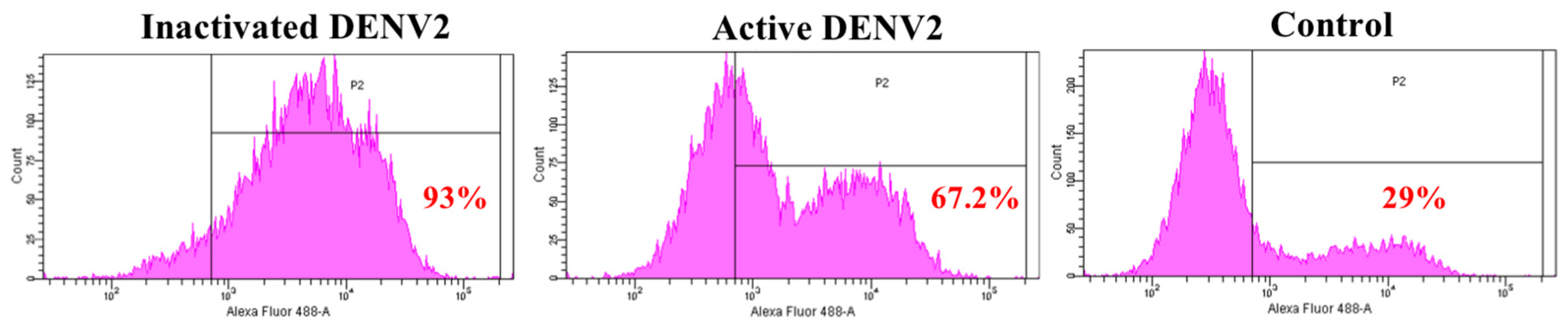 Viruses 11 00335 g002