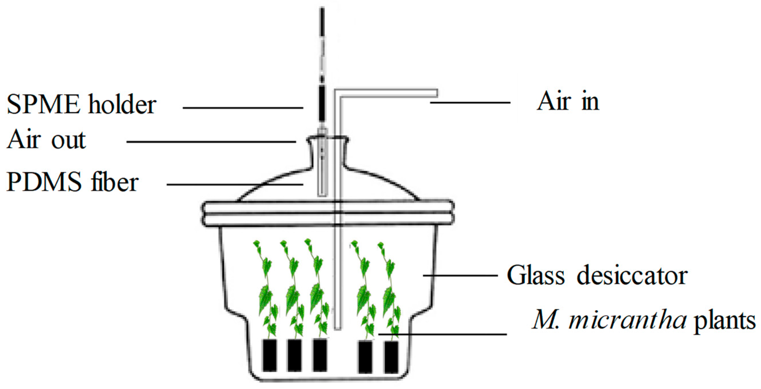 Viruses 11 00336 g001 550