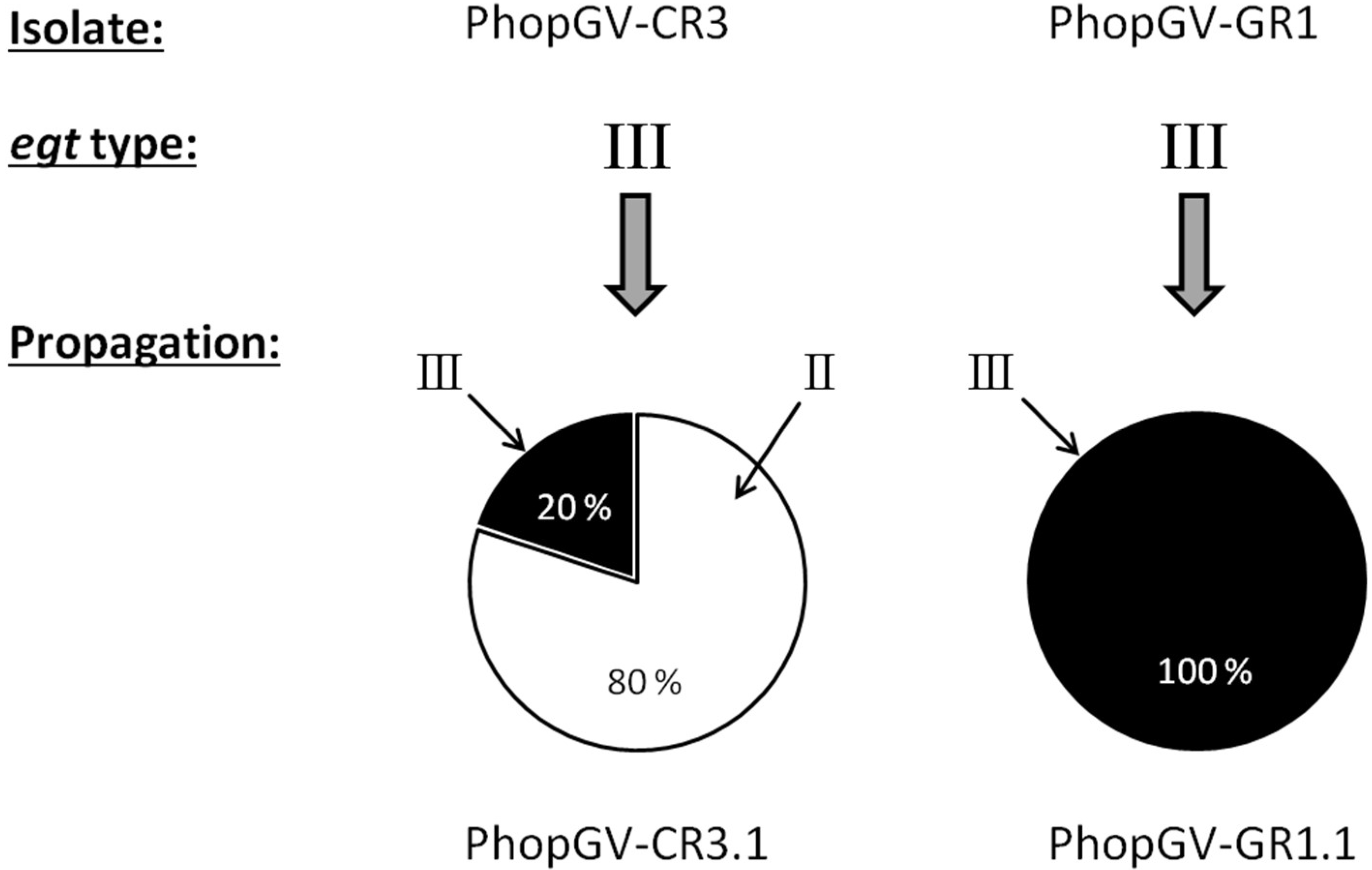 Viruses 11 00337 g006