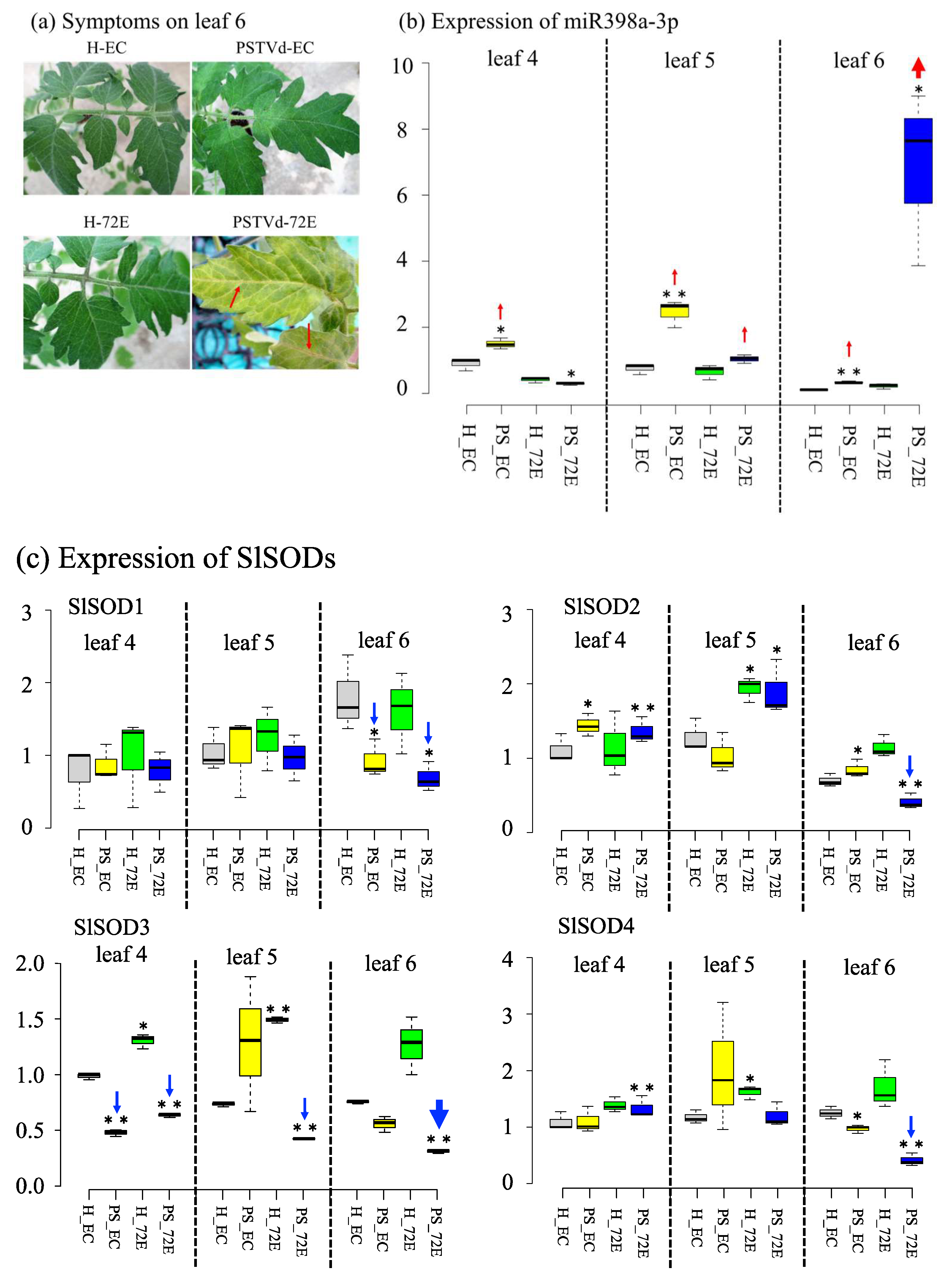 Viruses 11 00344 g008