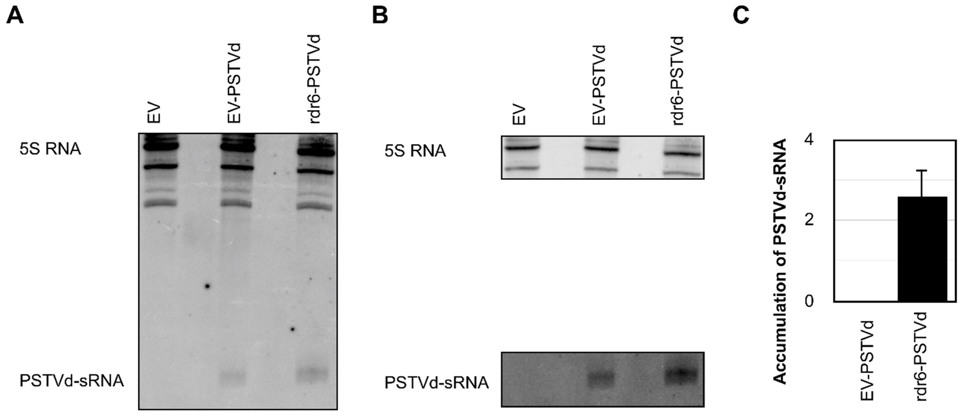 Viruses 11 00345 g003 Viruses 11 00345 g003