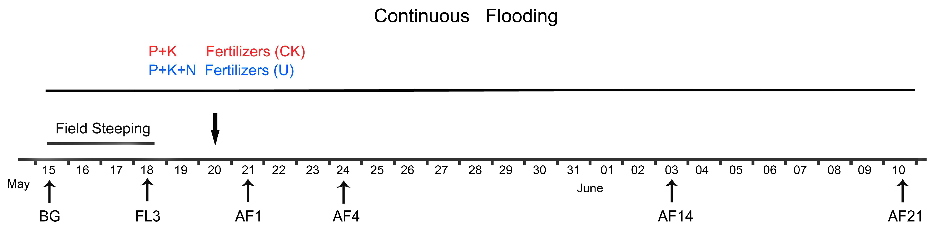 Viruses 11 00347 g001 Viruses 11 00347 g001