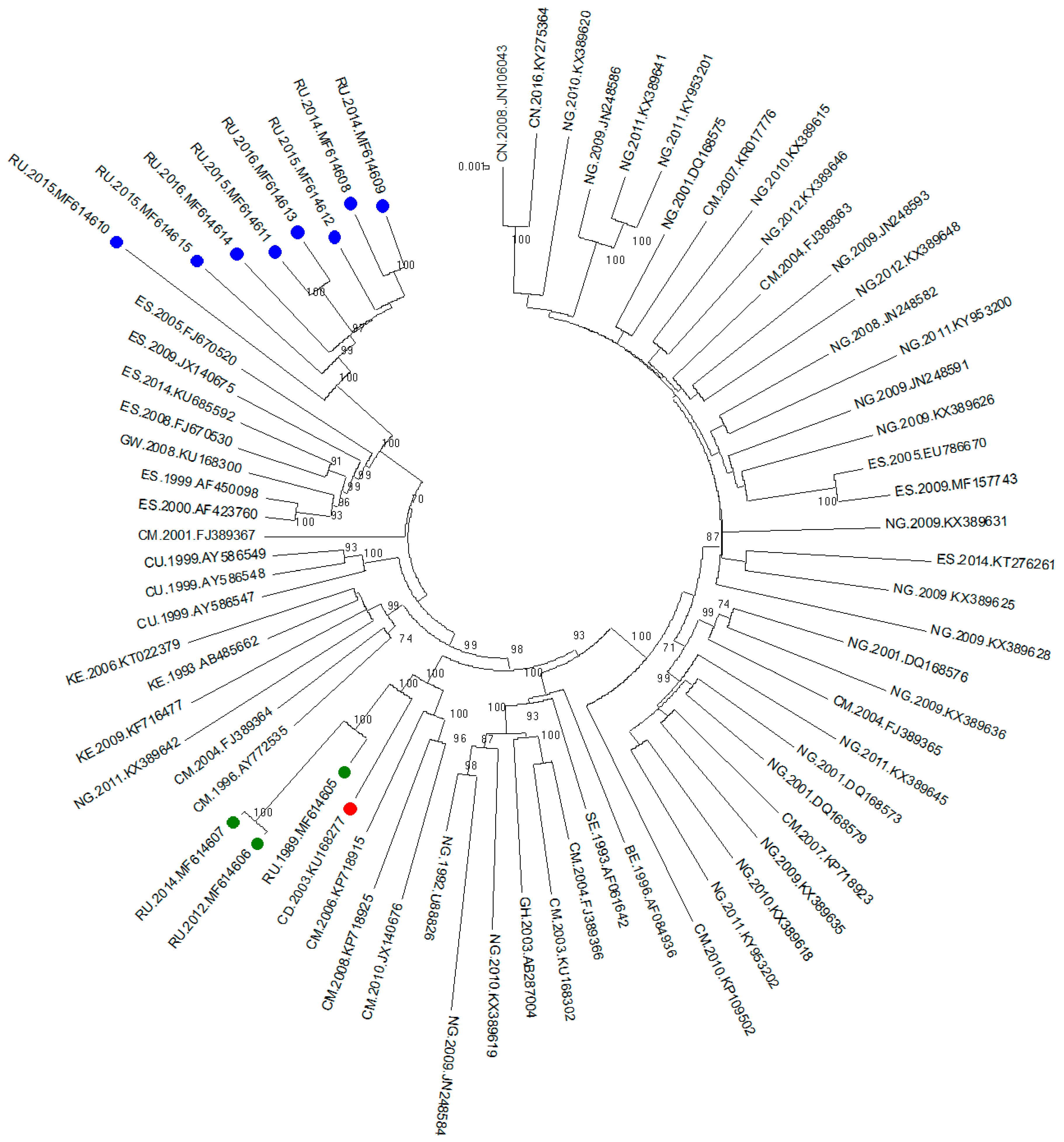 Viruses 11 00348 g001