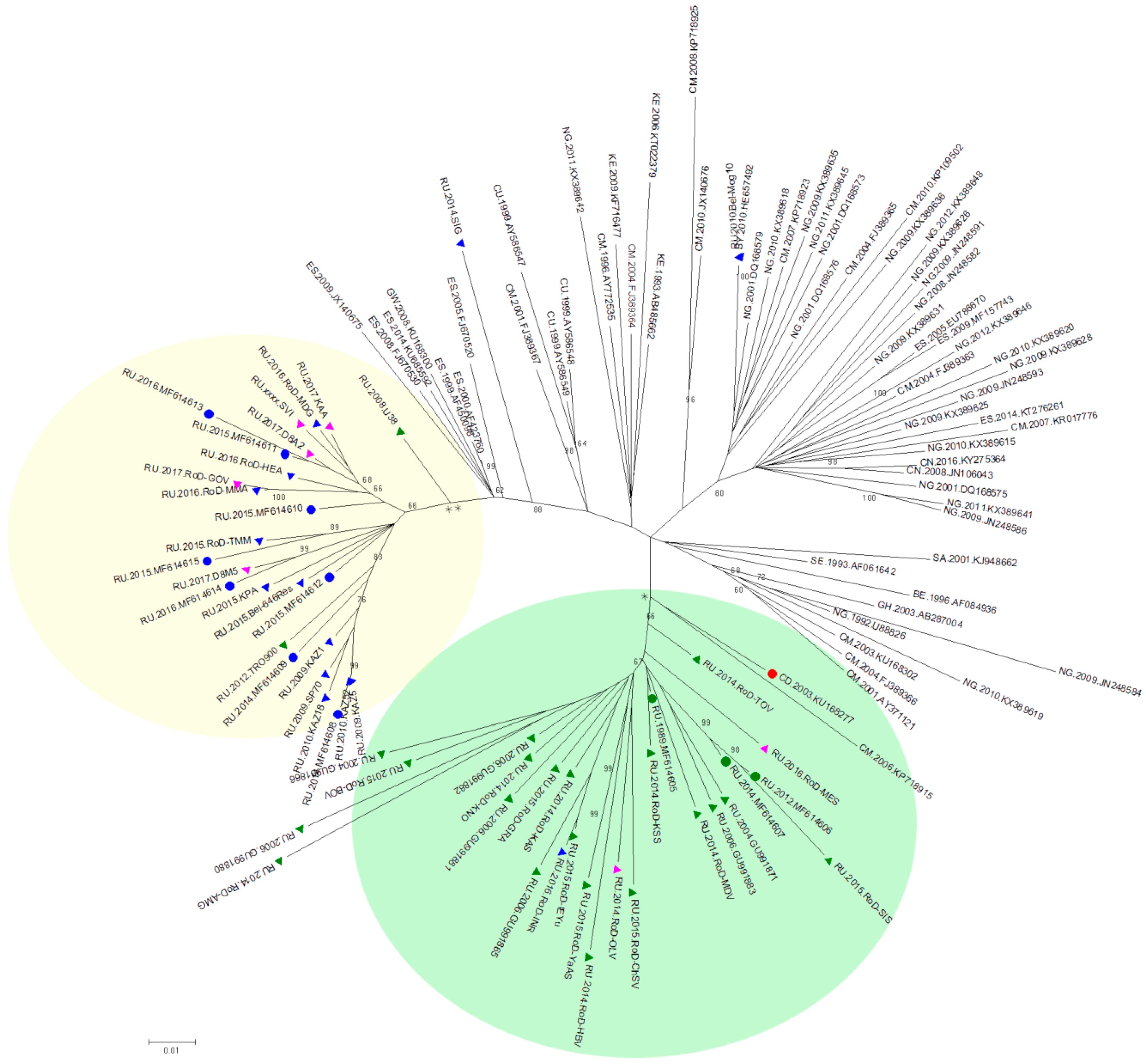 Viruses 11 00348 g002