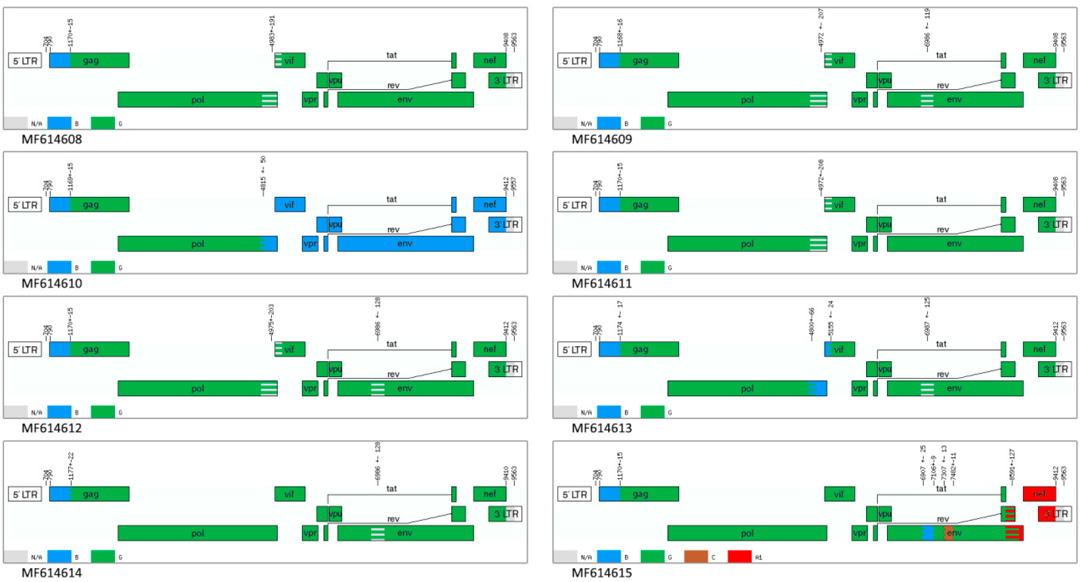 Viruses 11 00348 g003