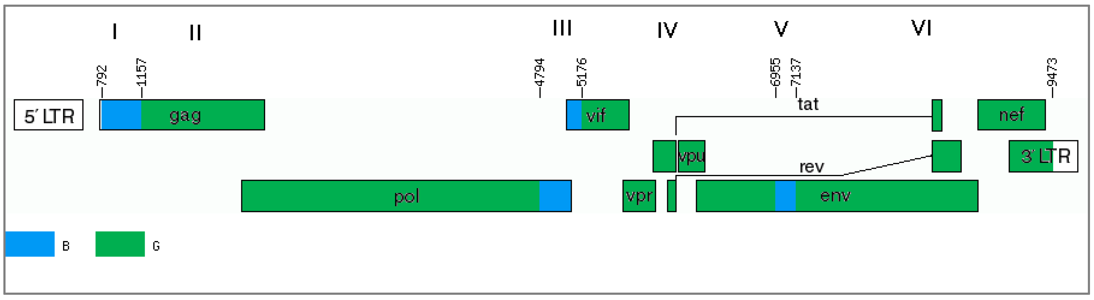 Viruses 11 00348 g004