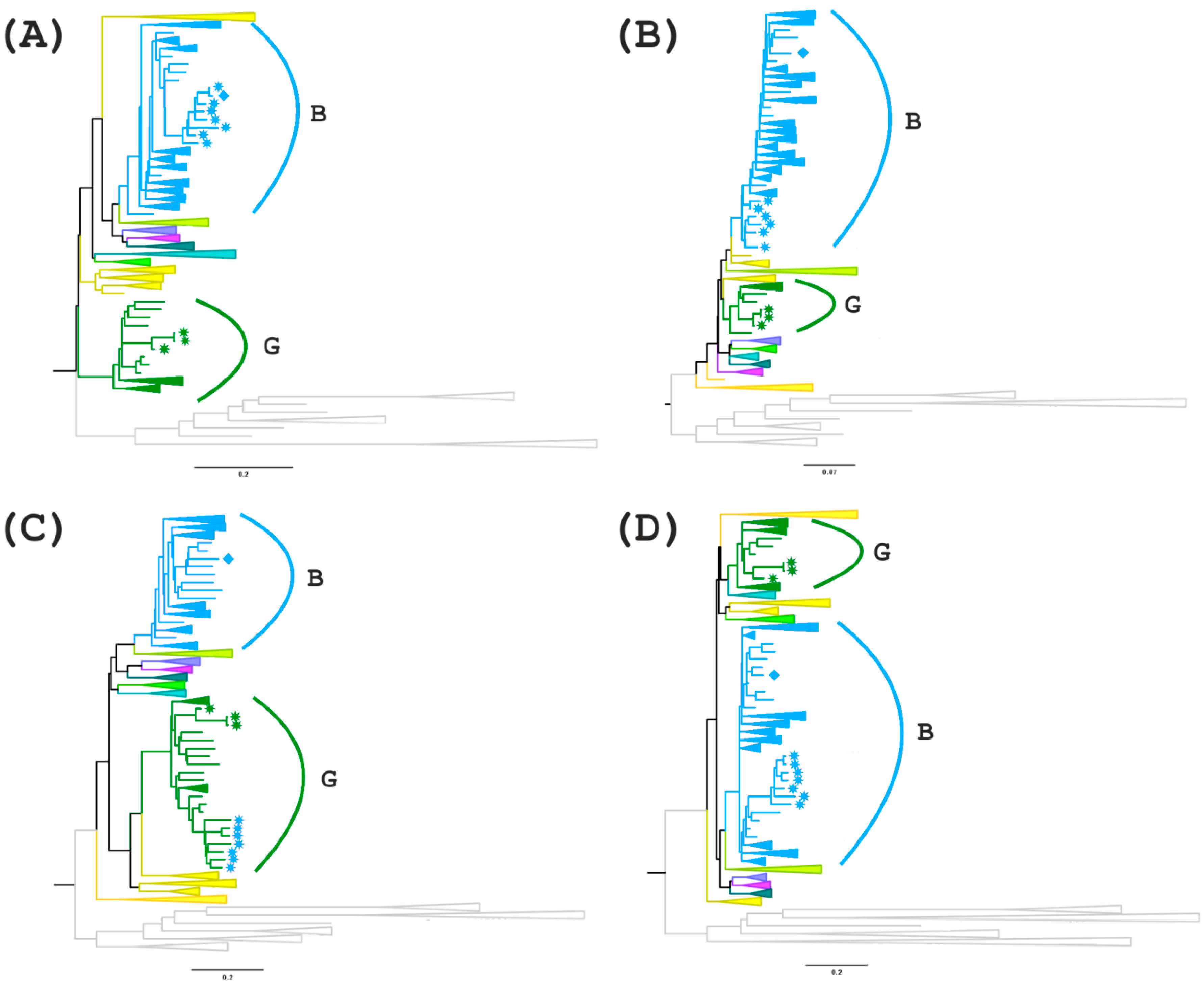 Viruses 11 00348 g005