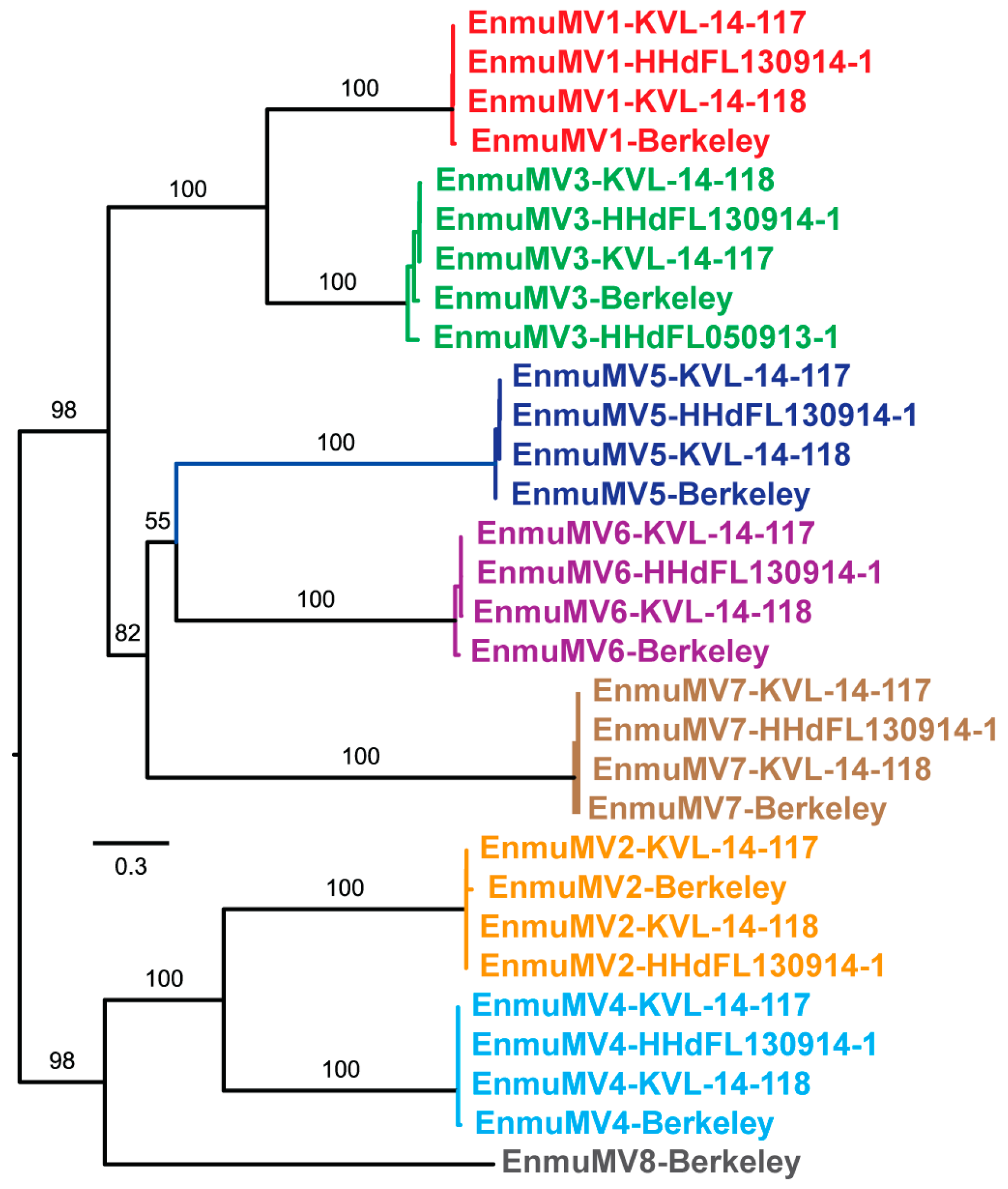 Viruses 11 00351 g002 Viruses 11 00351 g002