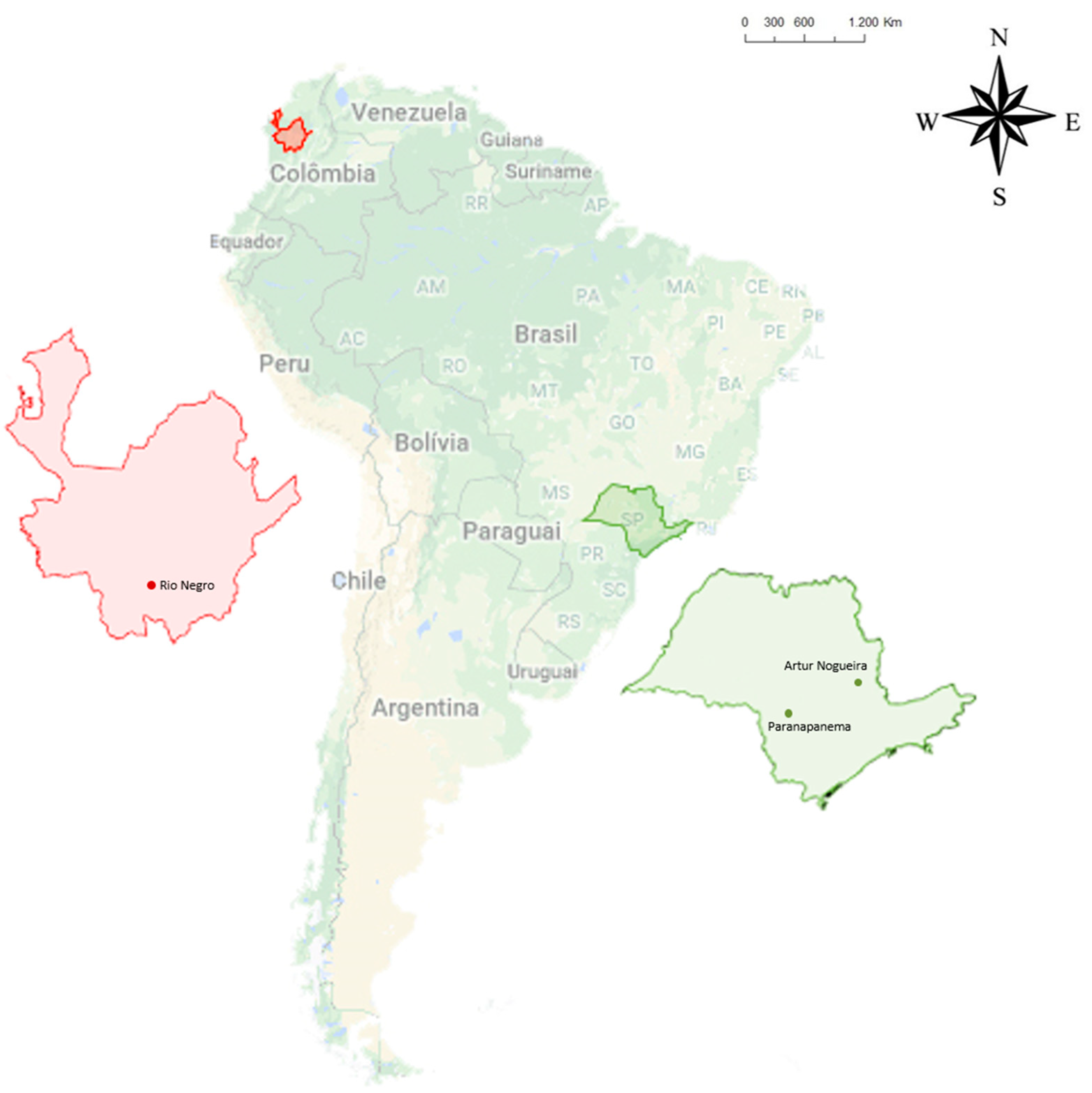 Viruses 11 00355 g001 Viruses 11 00355 g001