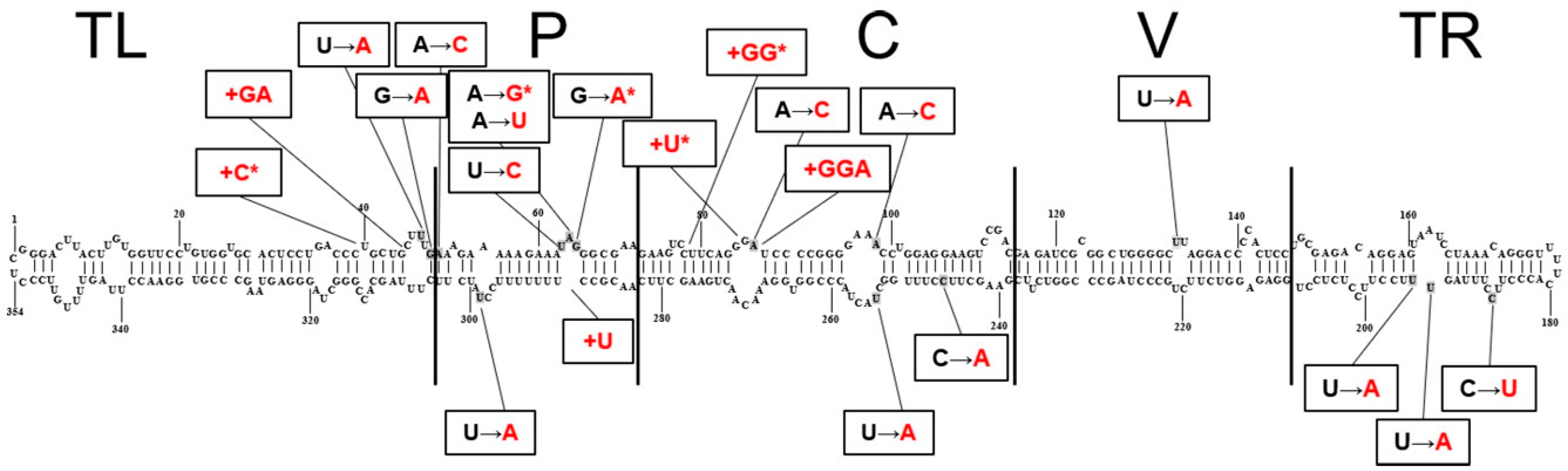 Viruses 11 00355 g004 Viruses 11 00355 g004
