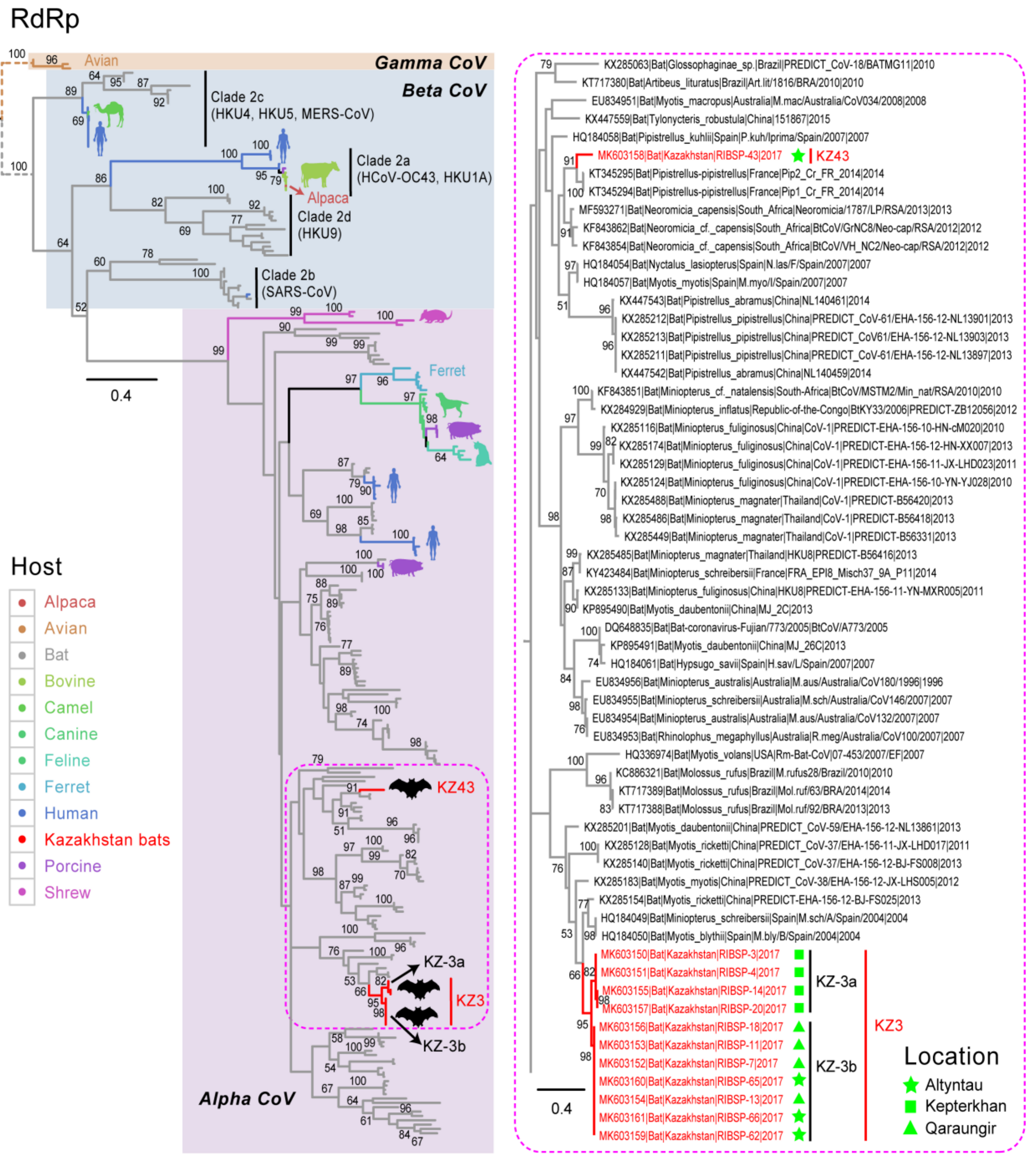 Viruses 11 00356 g002