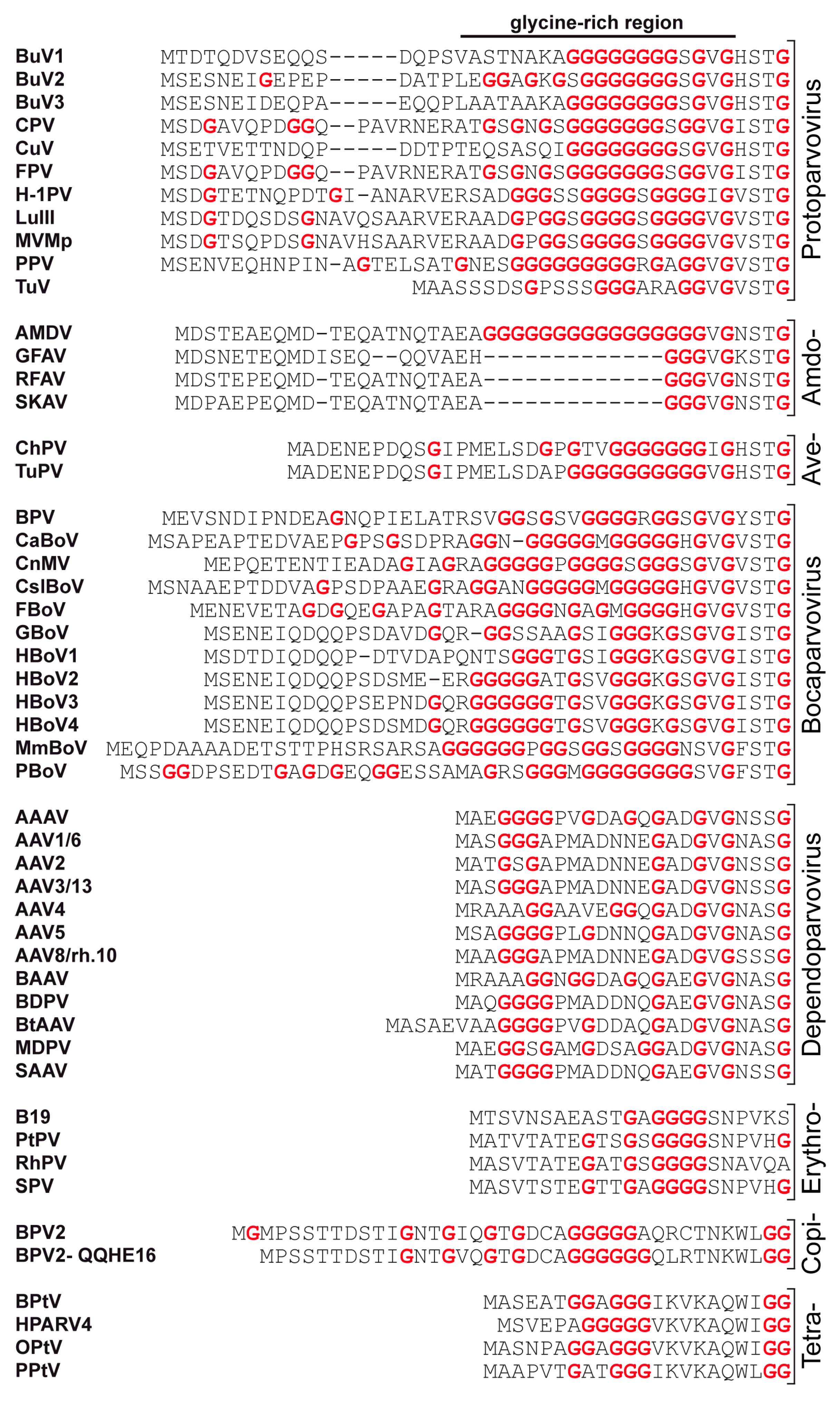 Viruses 11 00362 g004