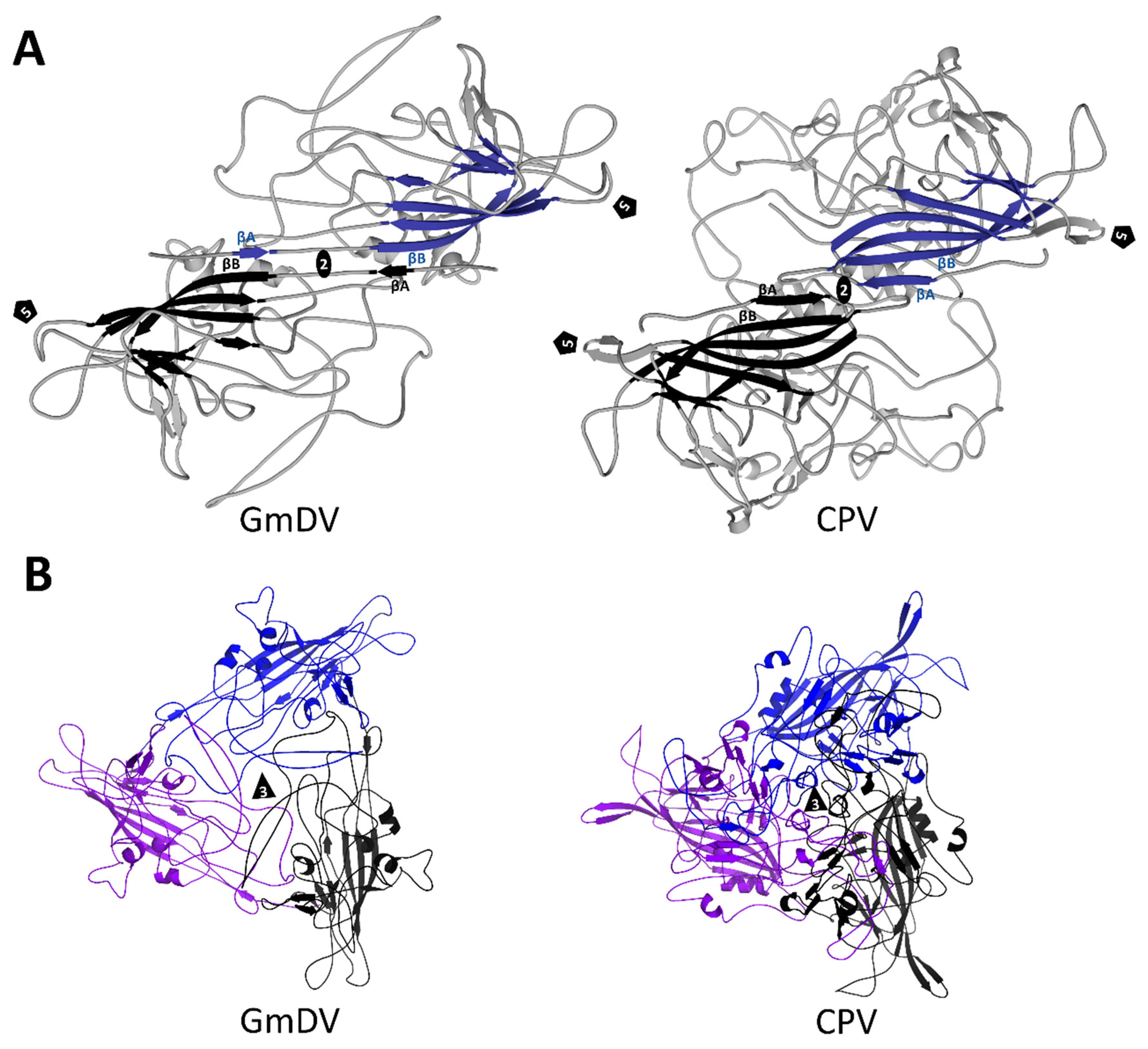 Viruses 11 00362 g013