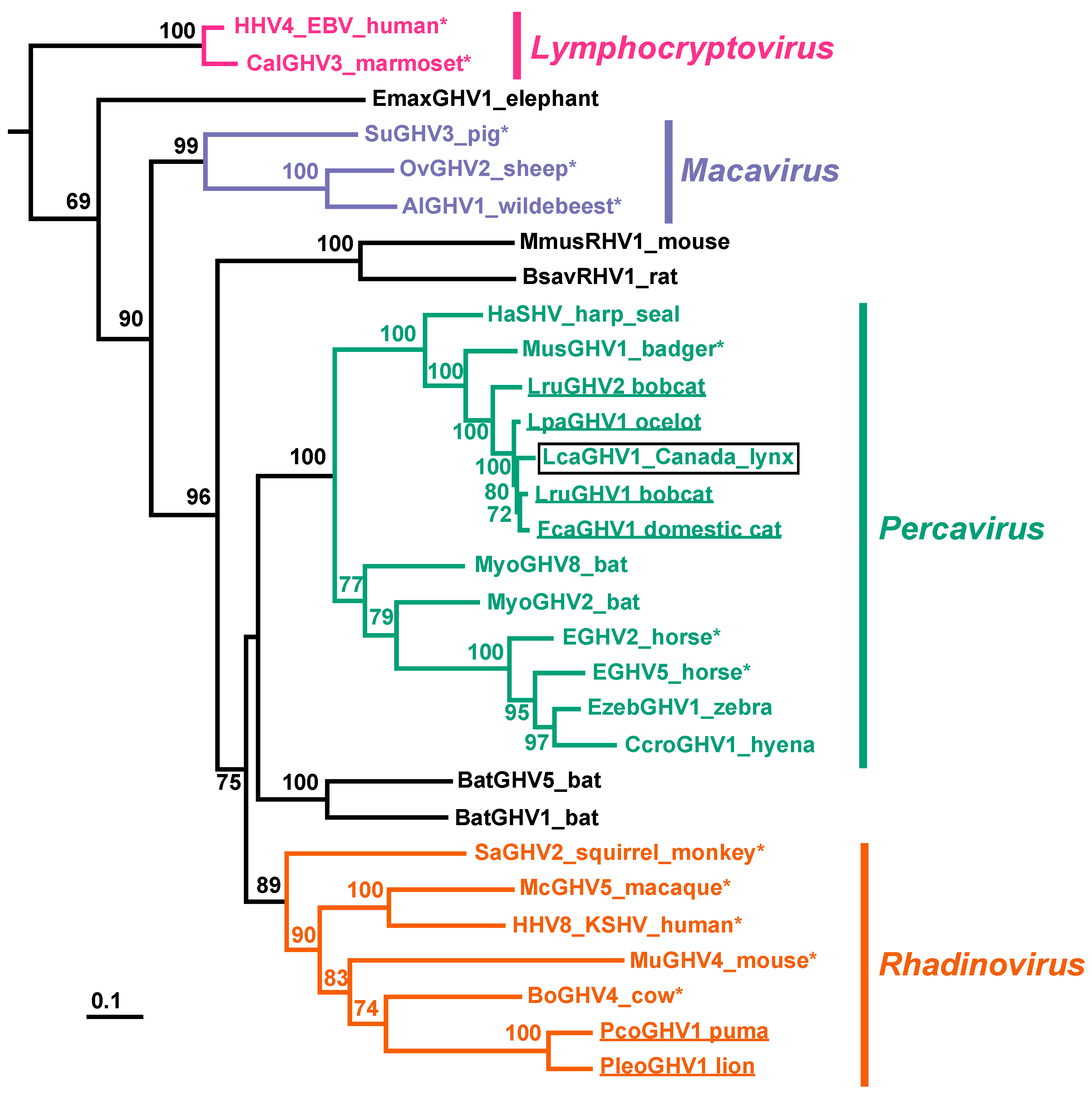 Viruses 11 00363 g004